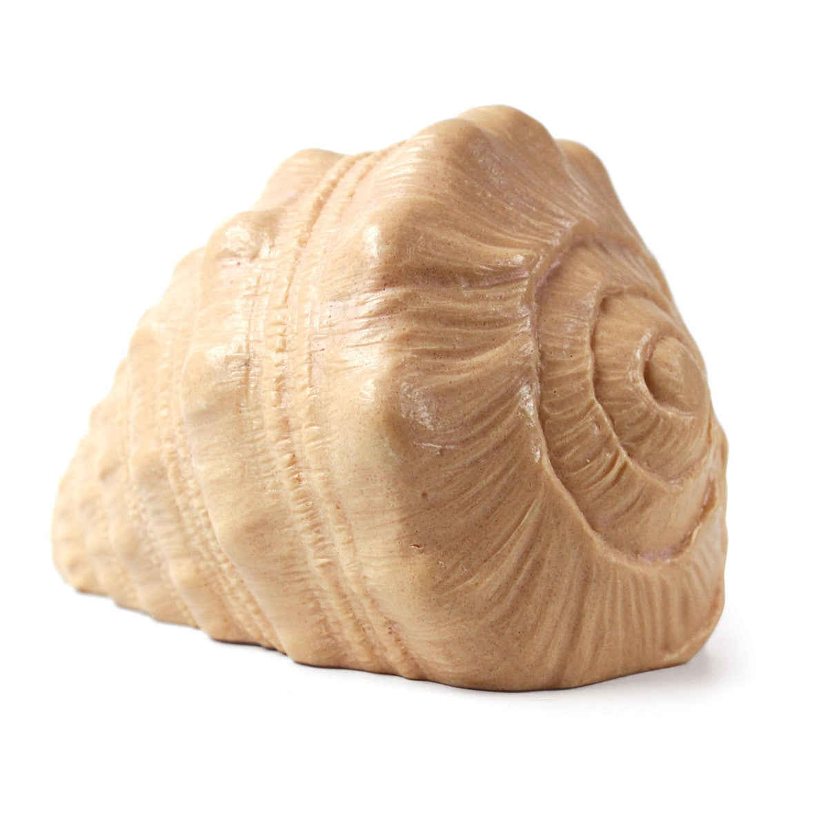 Yellow Door - Speel Shell