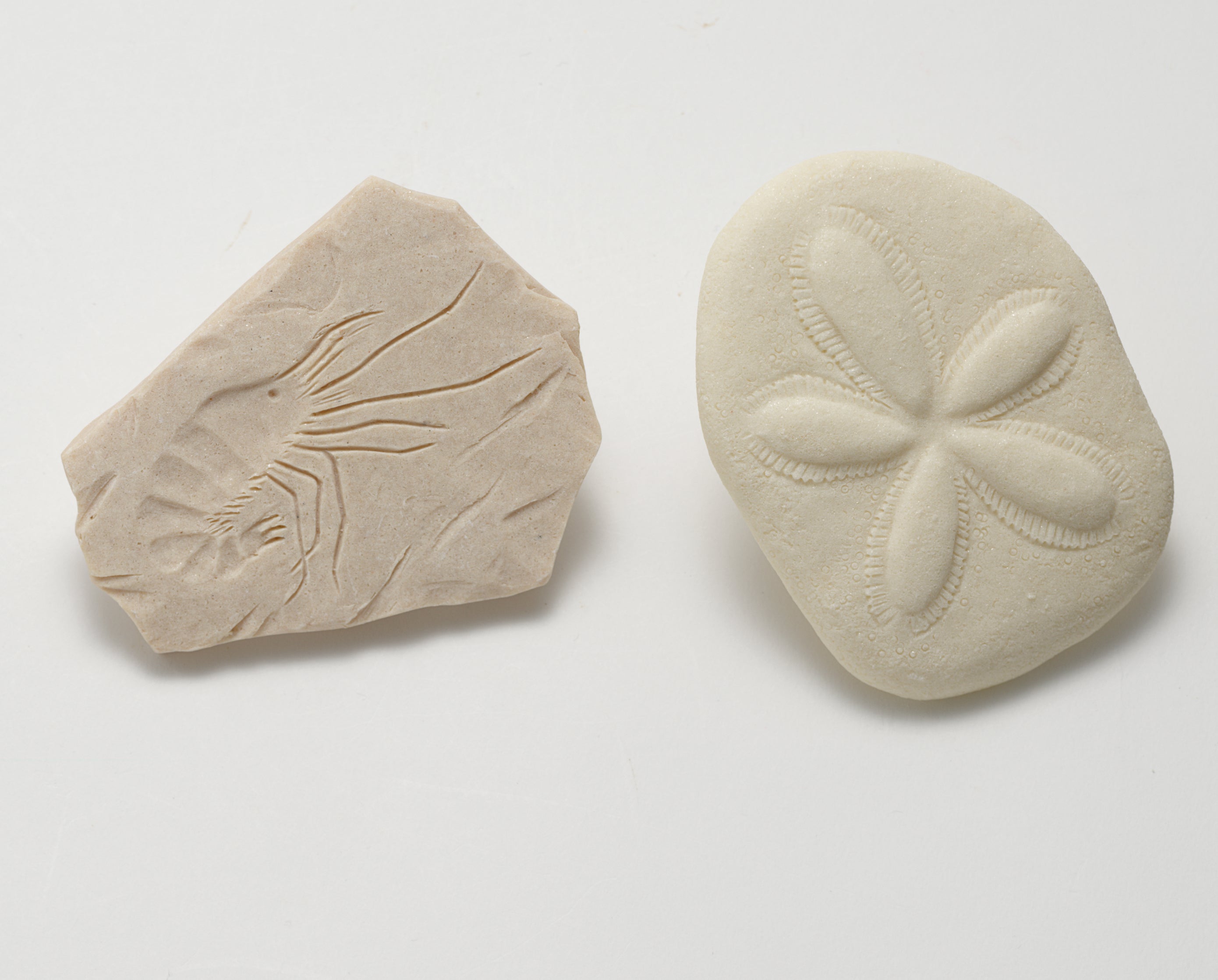 Yellow Door Stempel Stenen dubbelzijdig (8 stuks) - Fossielen