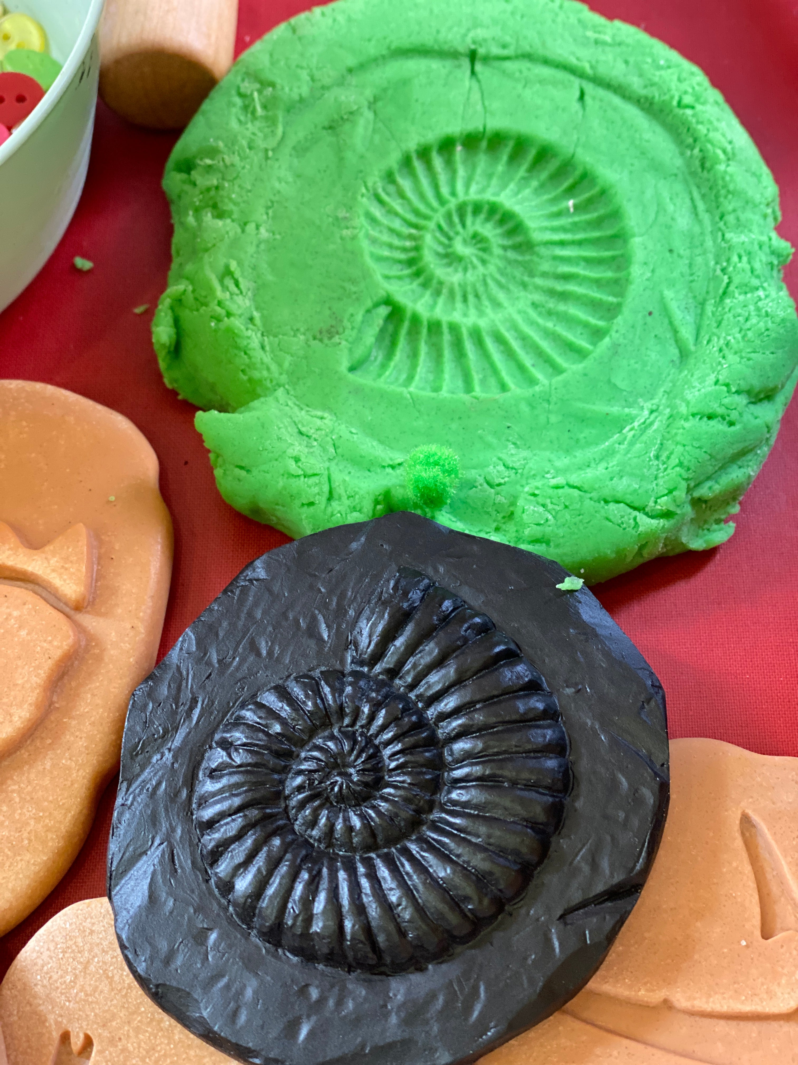 Yellow Door Stempel Stenen dubbelzijdig (8 stuks) - Fossielen