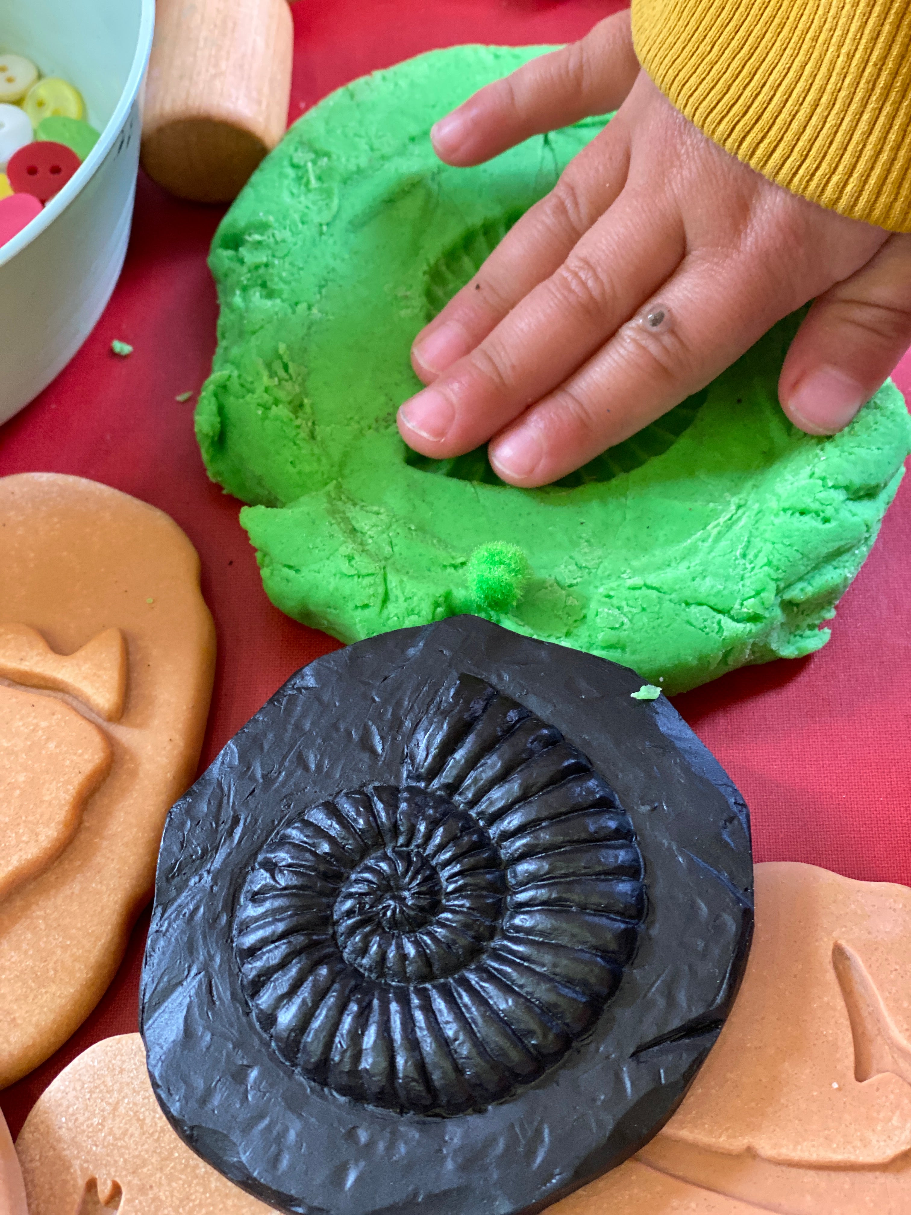 Yellow Door Stempel Stenen dubbelzijdig (8 stuks) - Fossielen