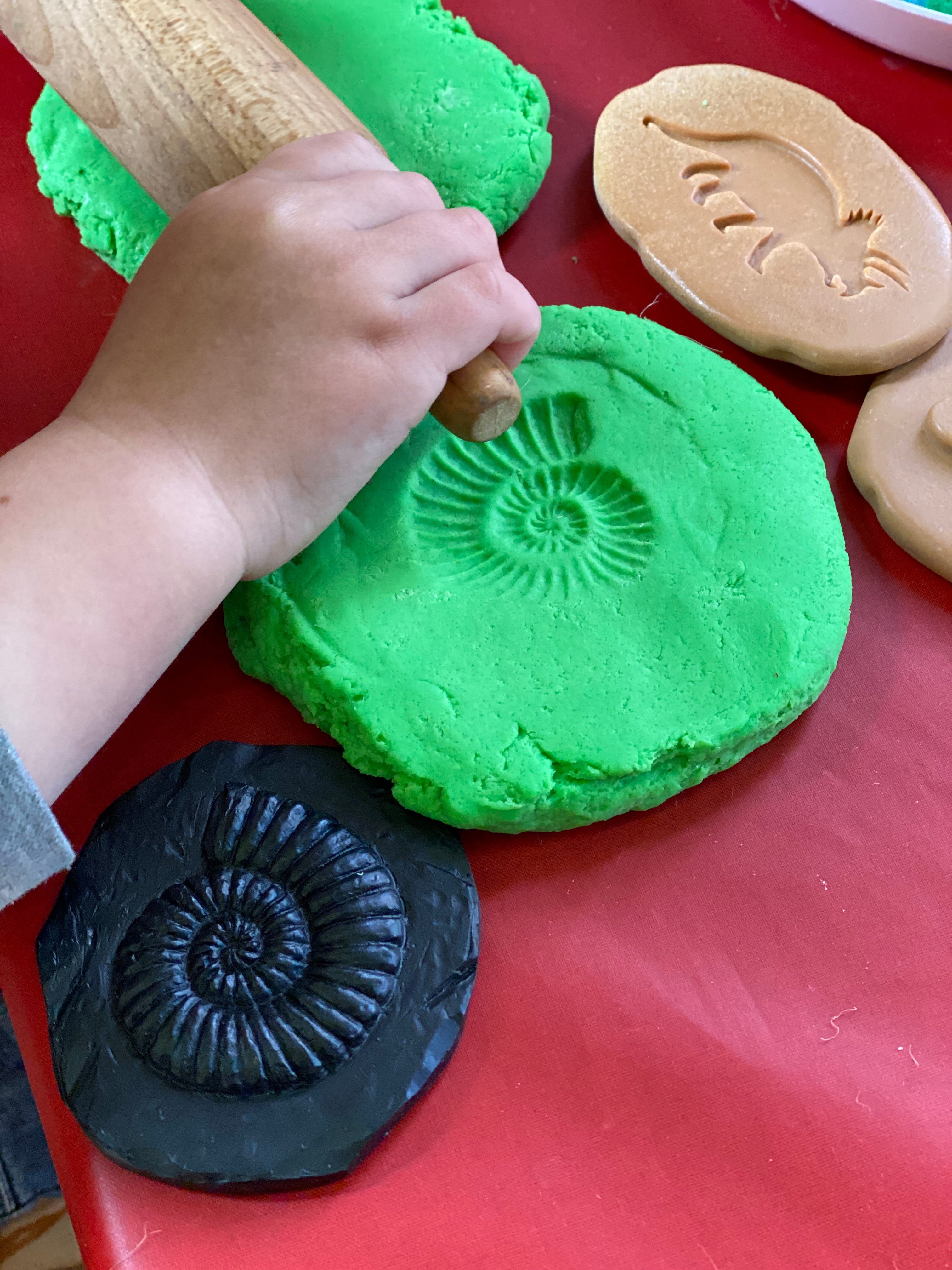 Yellow Door Stempel Stenen dubbelzijdig (8 stuks) - Fossielen