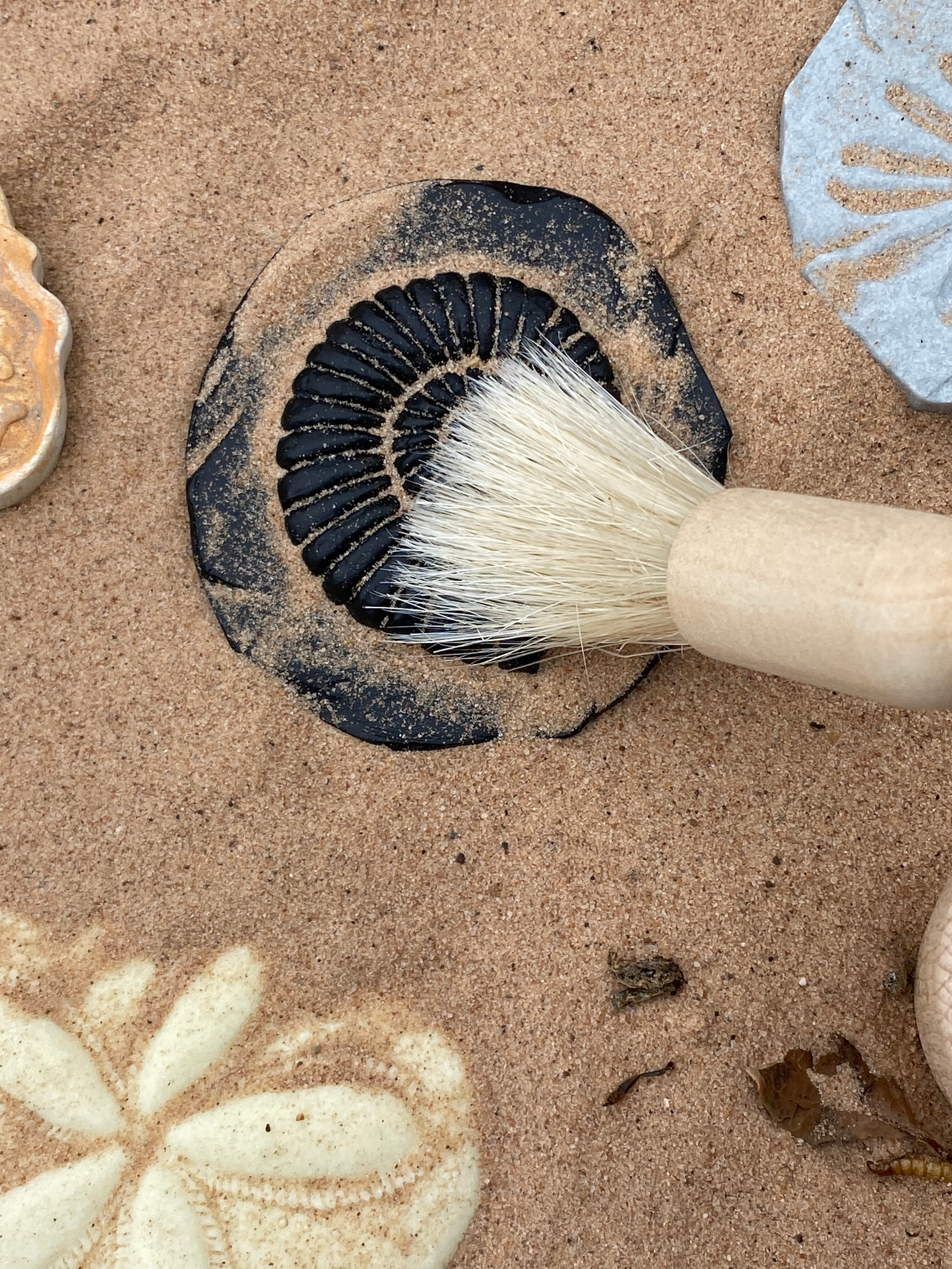 Yellow Door Stempel Stenen dubbelzijdig (8 stuks) - Fossielen