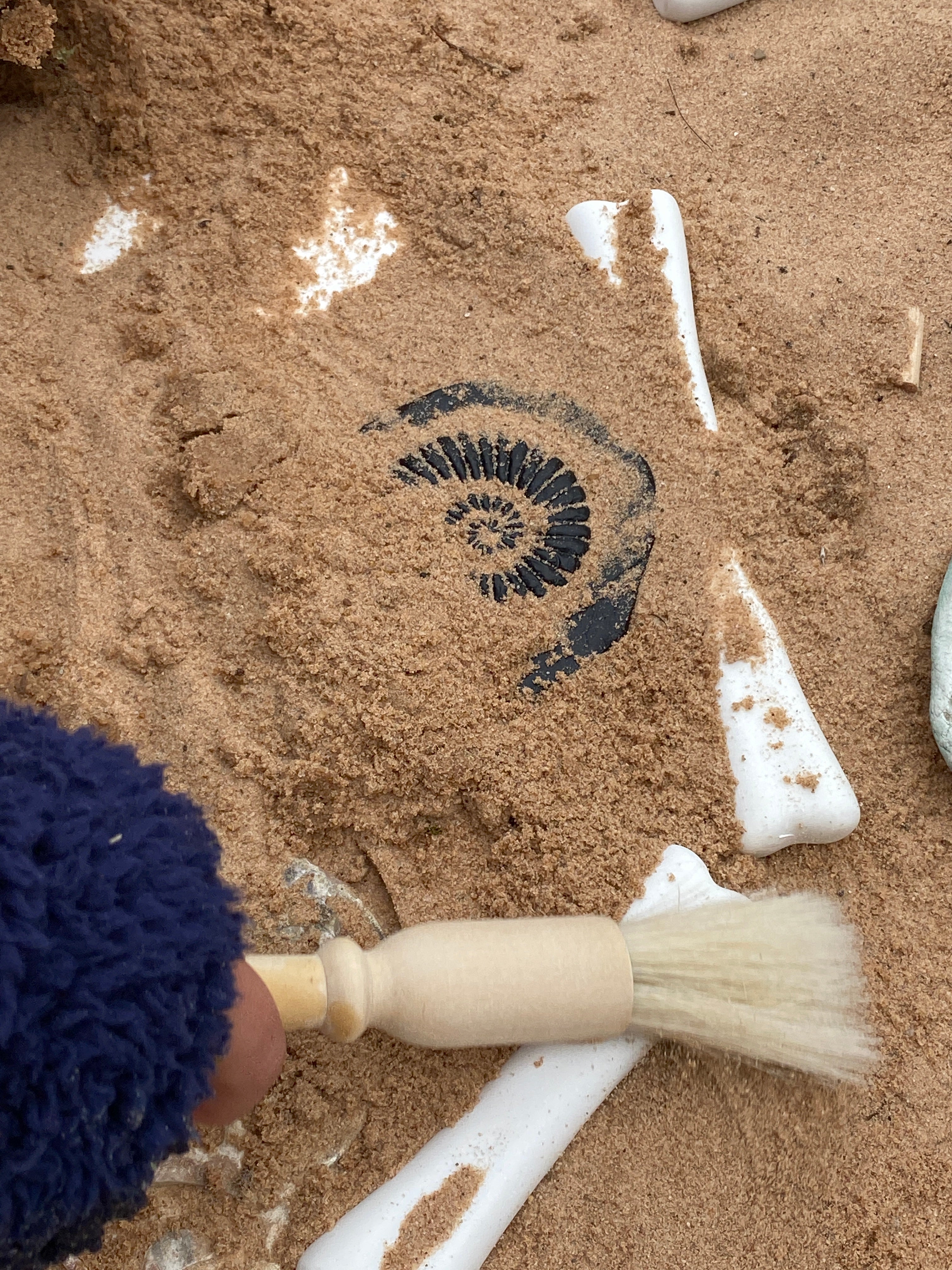 Yellow Door Stempel Stenen dubbelzijdig (8 stuks) - Fossielen