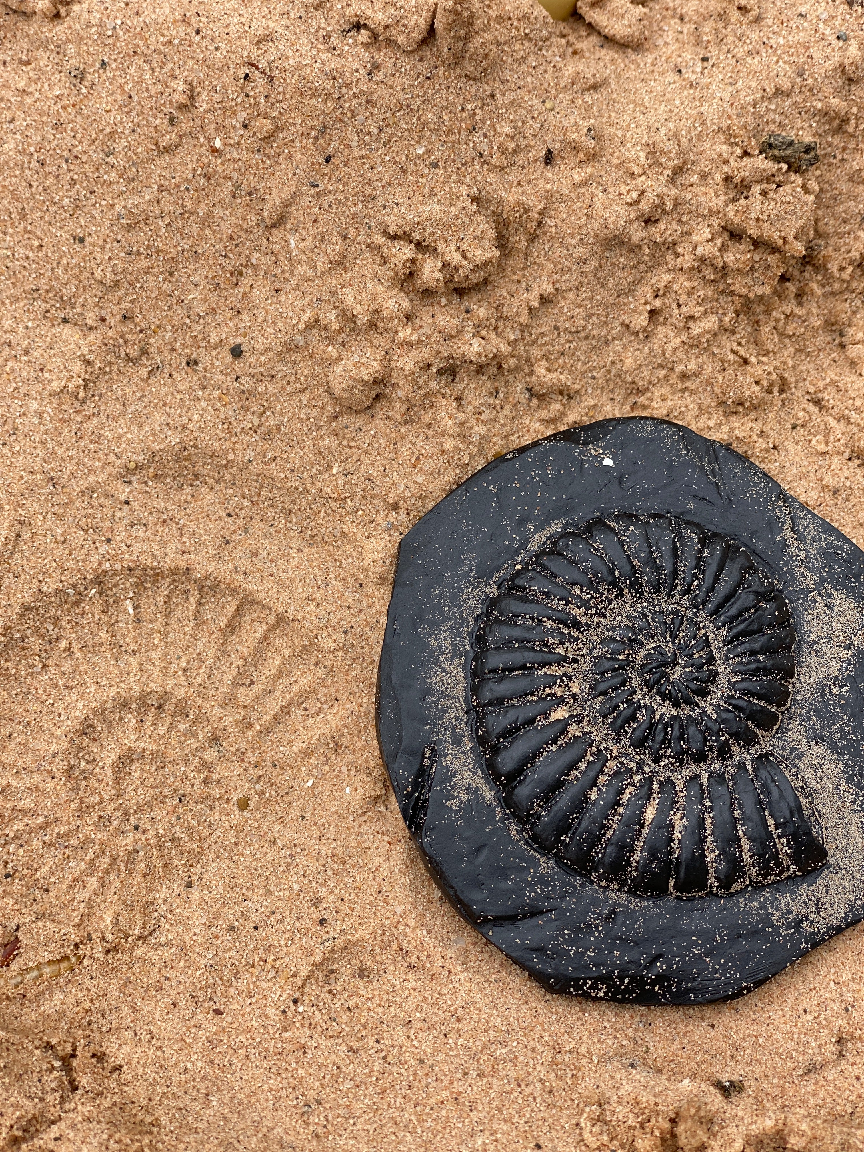 Yellow Door Stempel Stenen dubbelzijdig (8 stuks) - Fossielen