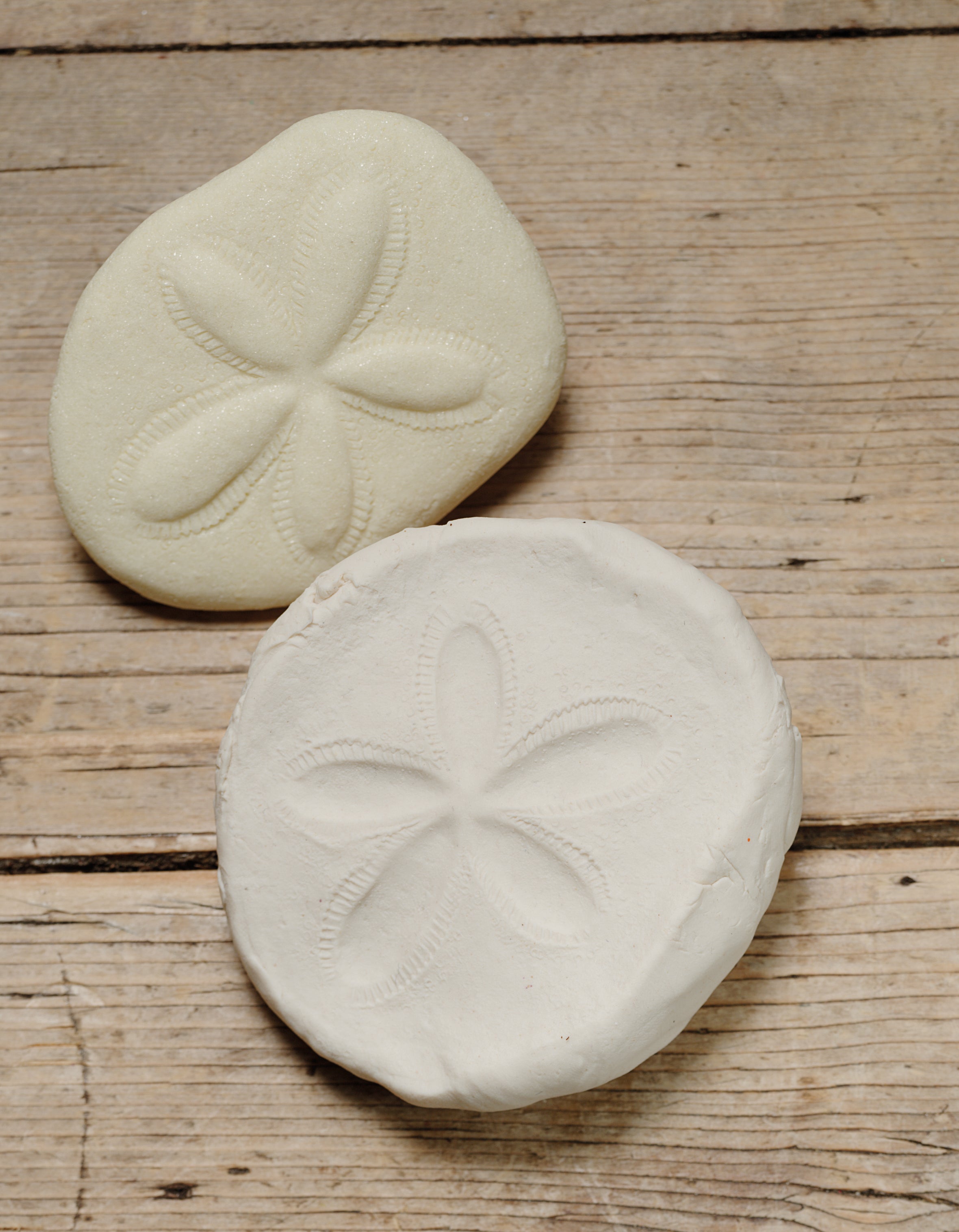 Yellow Door Stempel Stenen dubbelzijdig (8 stuks) - Fossielen