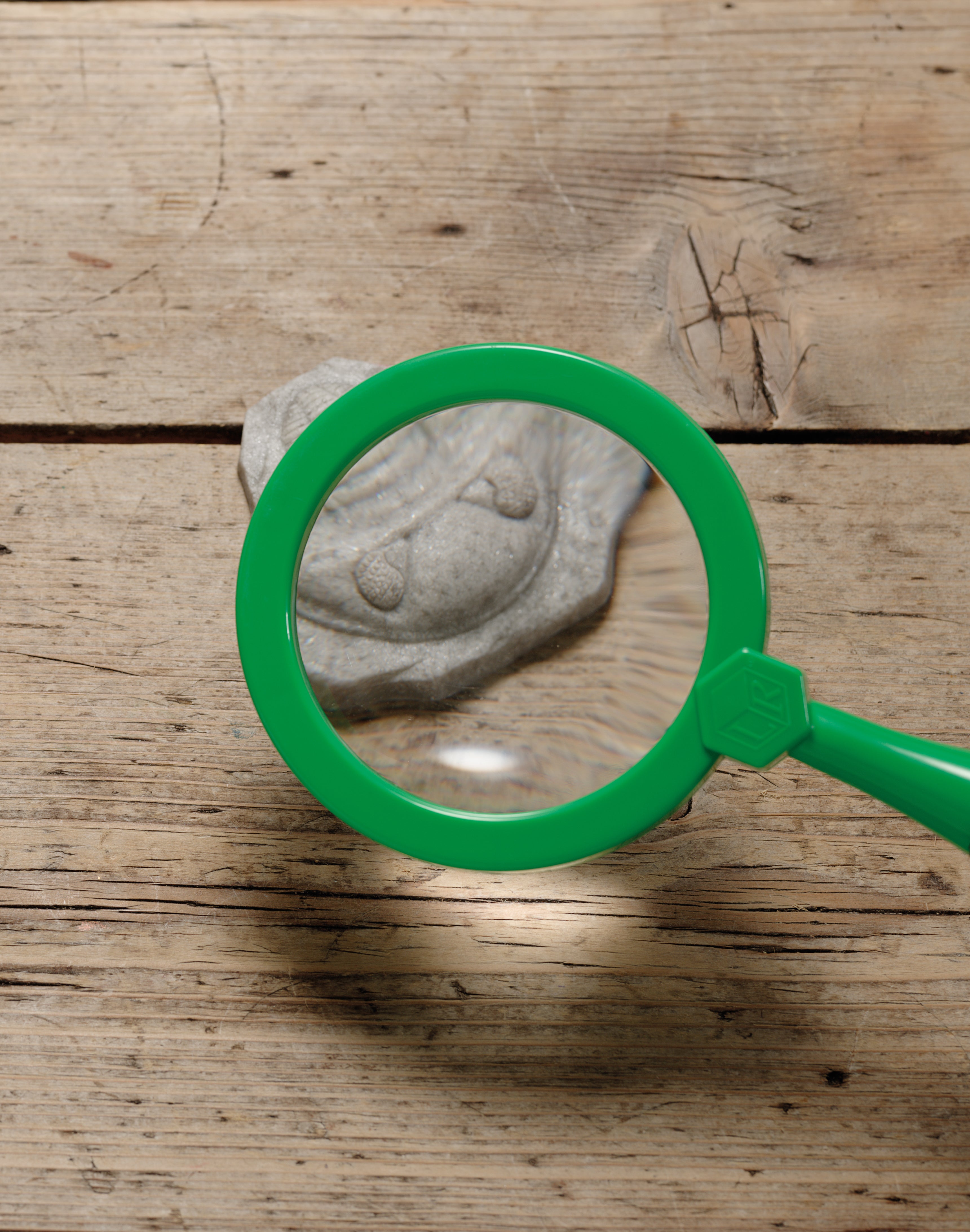 Yellow Door Stempel Stenen dubbelzijdig (8 stuks) - Fossielen