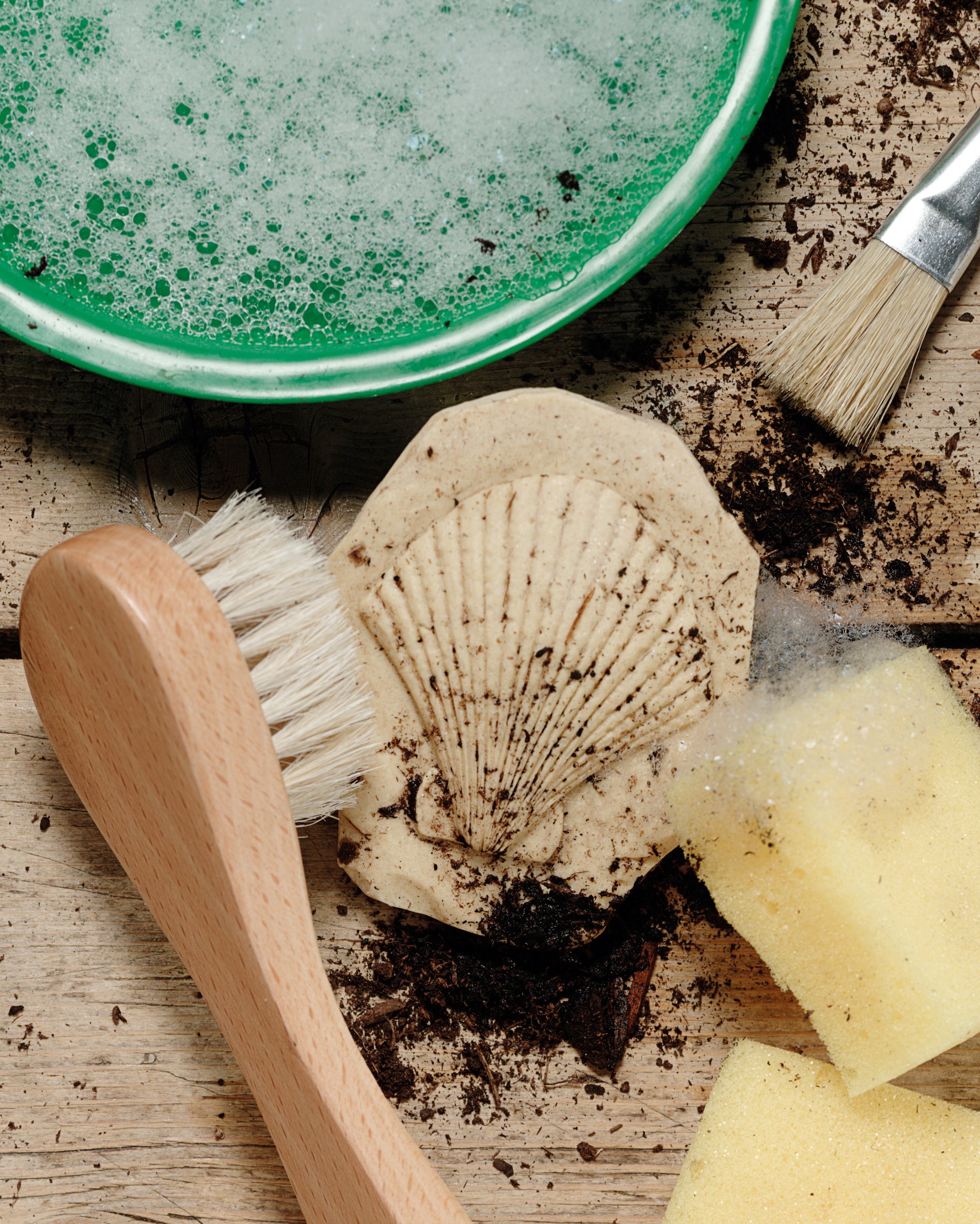 Yellow Door Stempel Stenen dubbelzijdig (8 stuks) - Fossielen