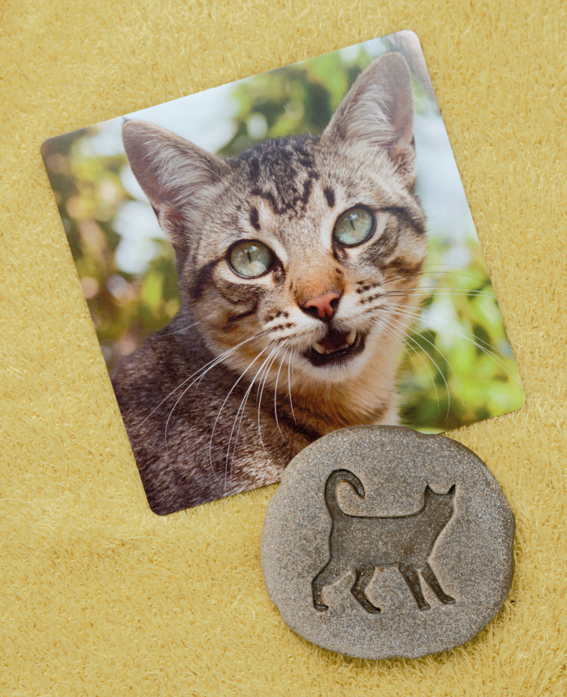 Yellow Door Stempel Stenen dubbelzijdig (8 stuks) - Boerderij