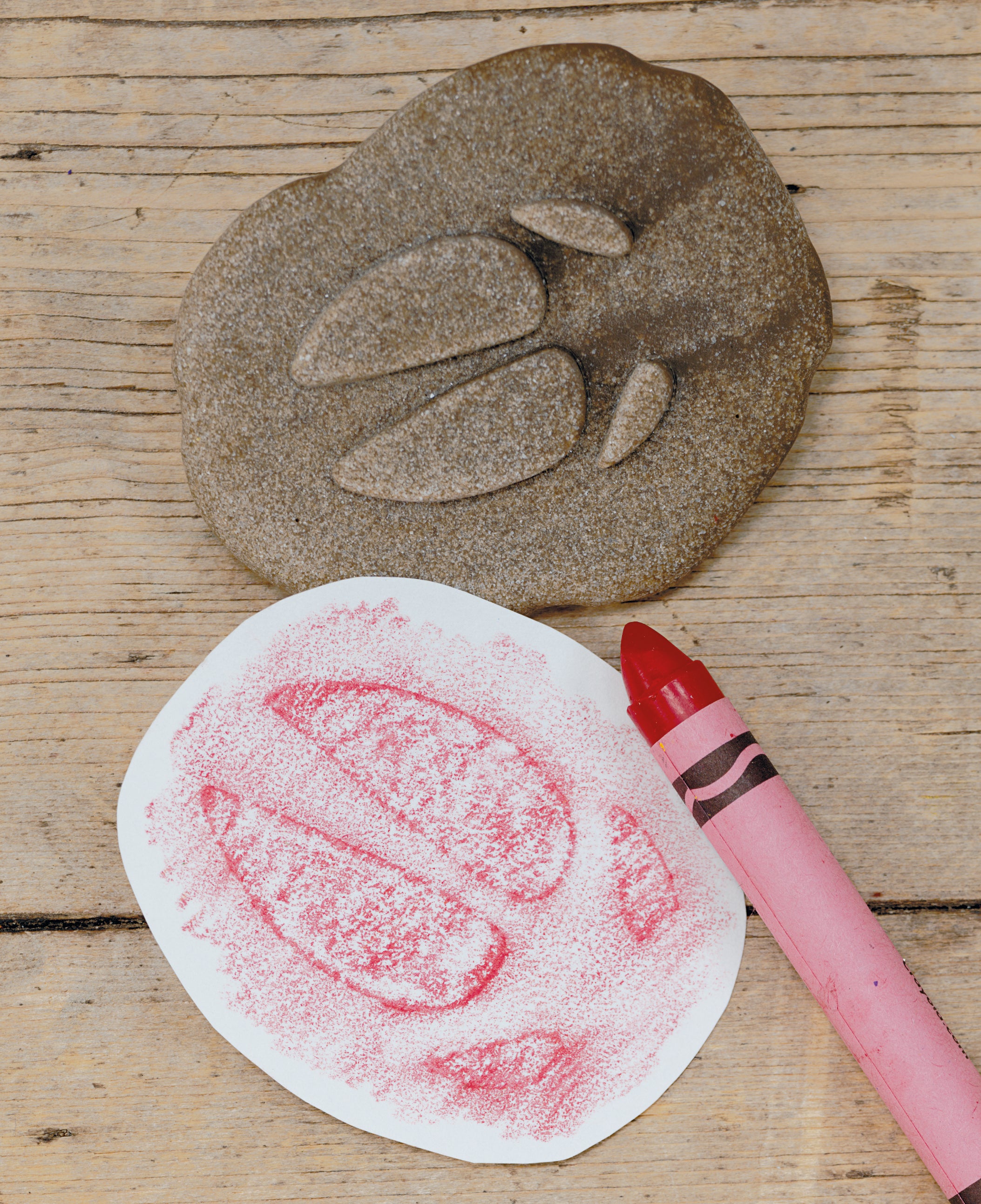 Yellow Door Stempel Stenen dubbelzijdig (8 stuks) - Boerderij