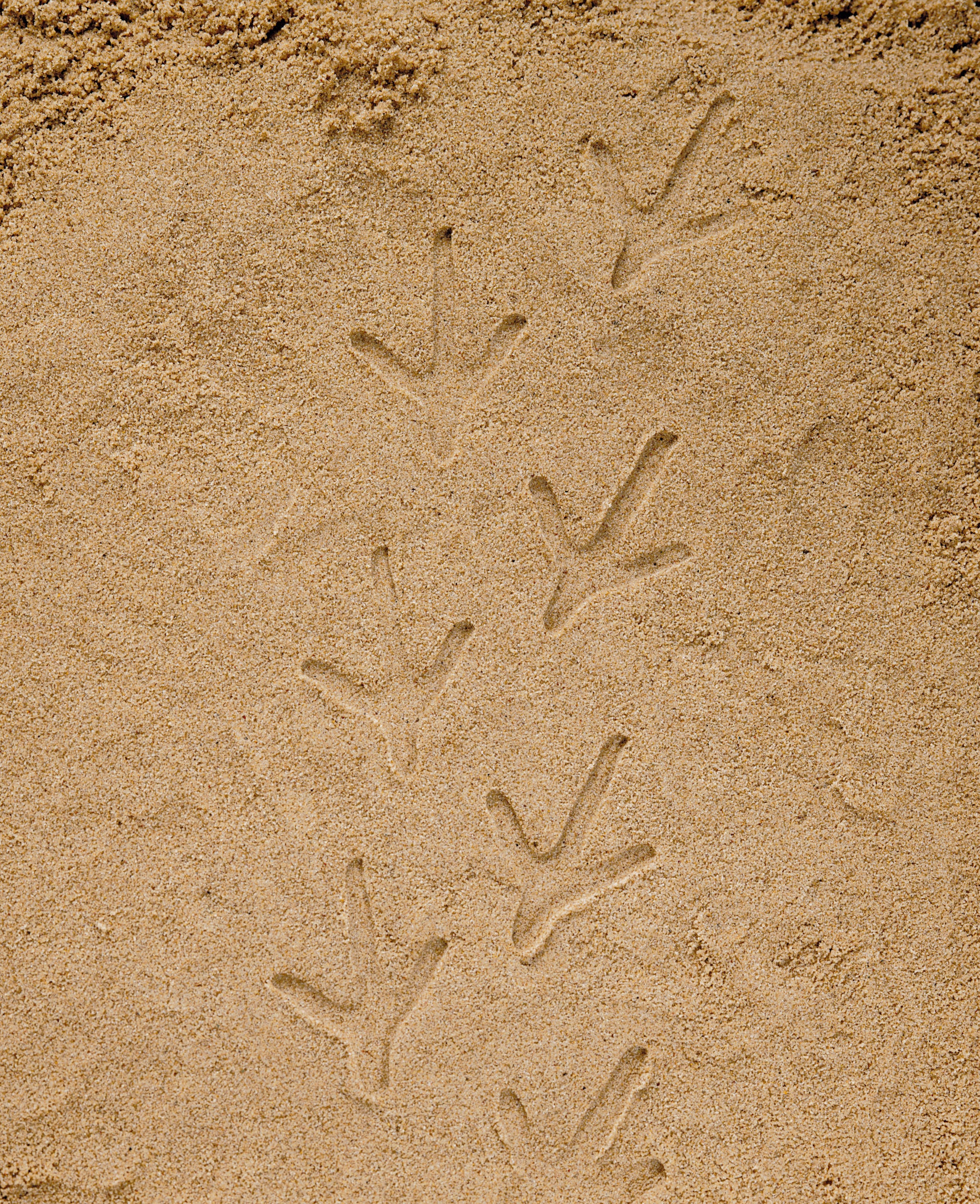 Yellow Door Stempel Stenen dubbelzijdig (8 stuks) - Boerderij