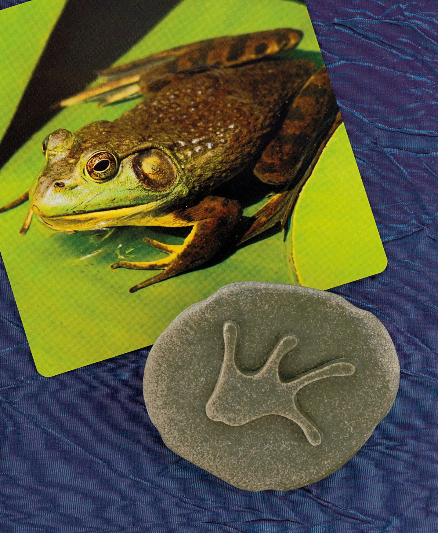 Yellow Door Stempel Stenen dubbelzijdig (8 stuks) - Bosdieren