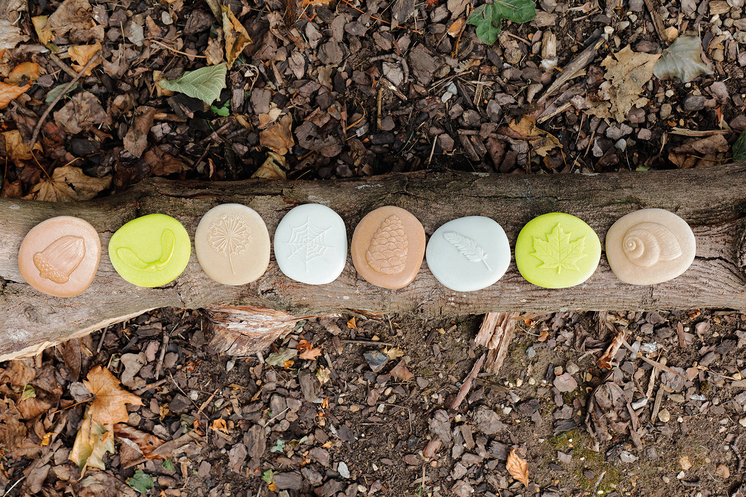 Yellow Door - Laten we het onderzoeken – de natuur