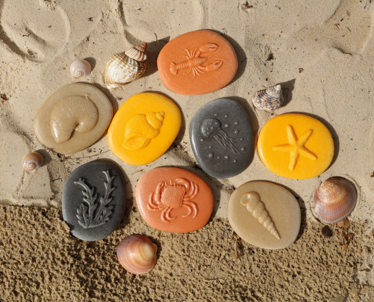 Yellow Door - Laten we het onderzoeken – Kust