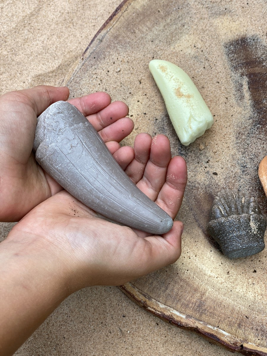 Yellow Door - Laten we het onderzoeken: prehistorische tanden