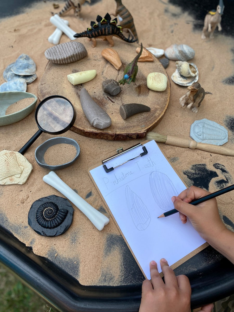 Yellow Door - Laten we het onderzoeken: prehistorische tanden