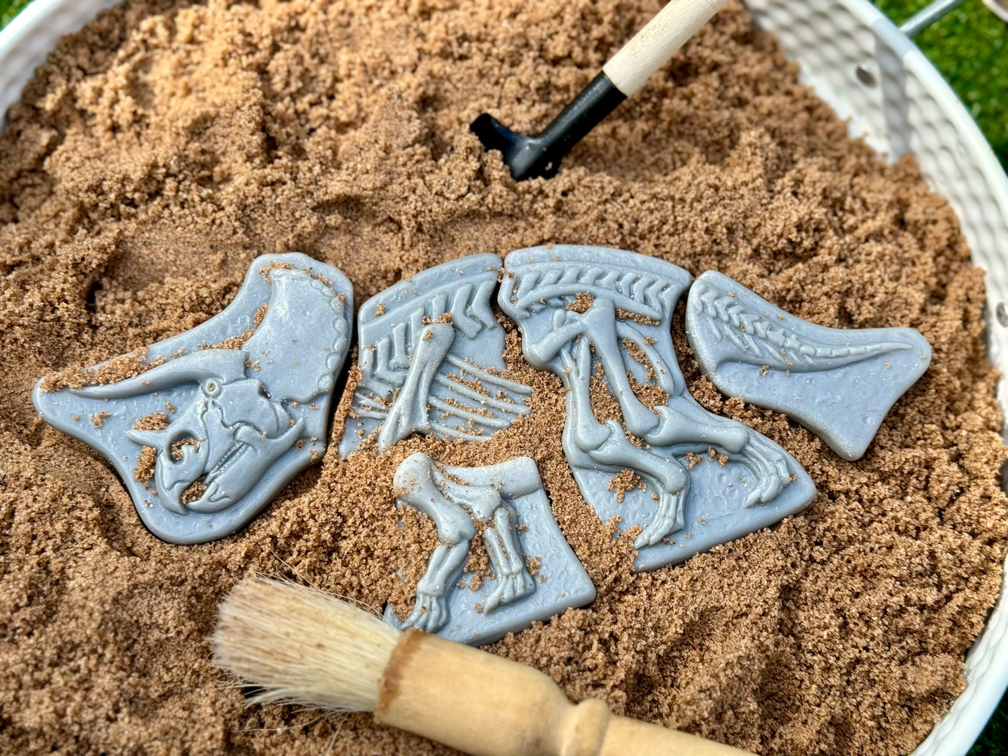 Yellow Door - Dig & Discover – Triceratops & Spinosaurus