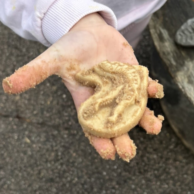 Yellow Door - Dig & Discover – Triceratops & Spinosaurus