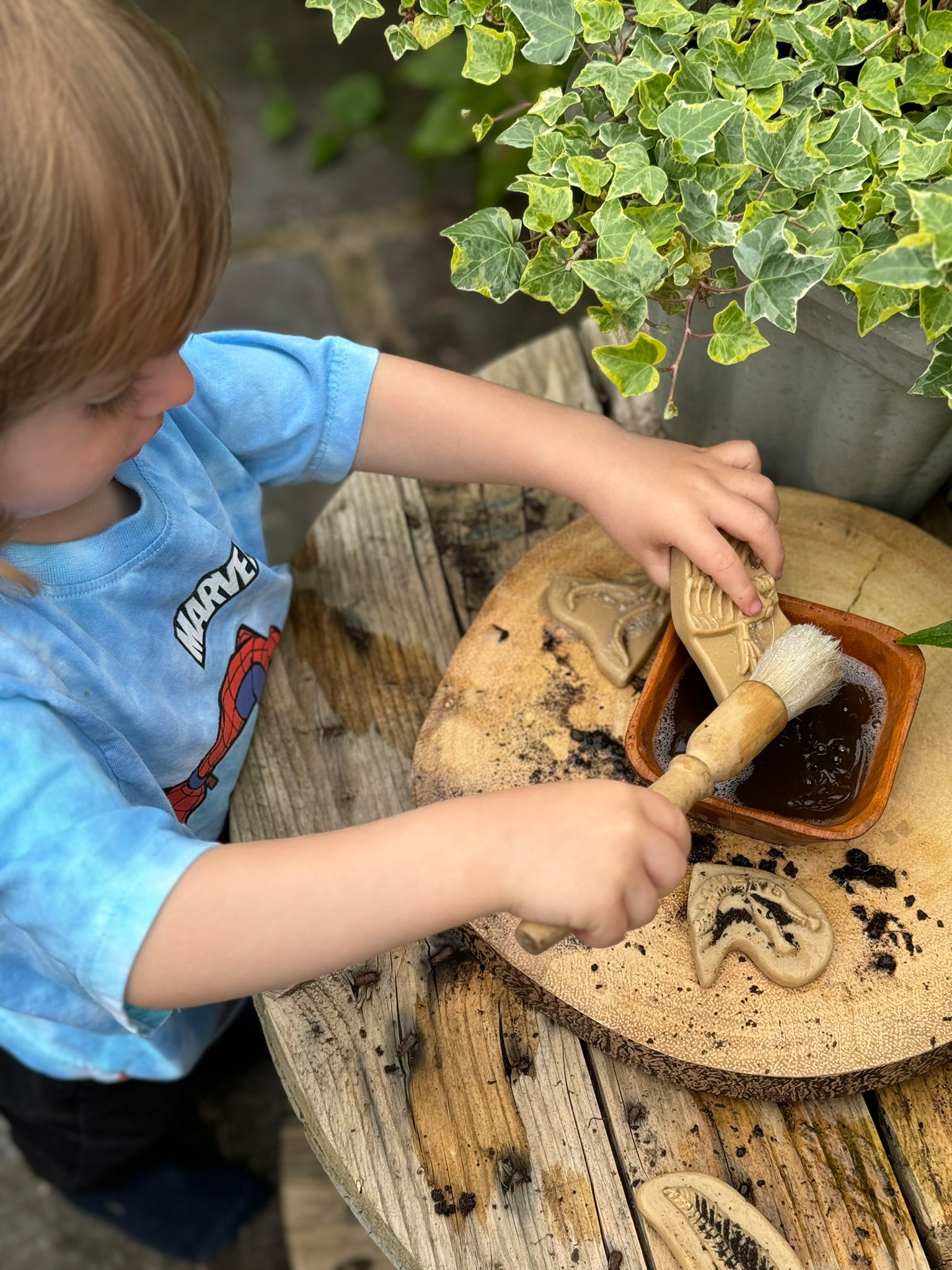 Yellow Door - Dig & Discover – Triceratops & Spinosaurus