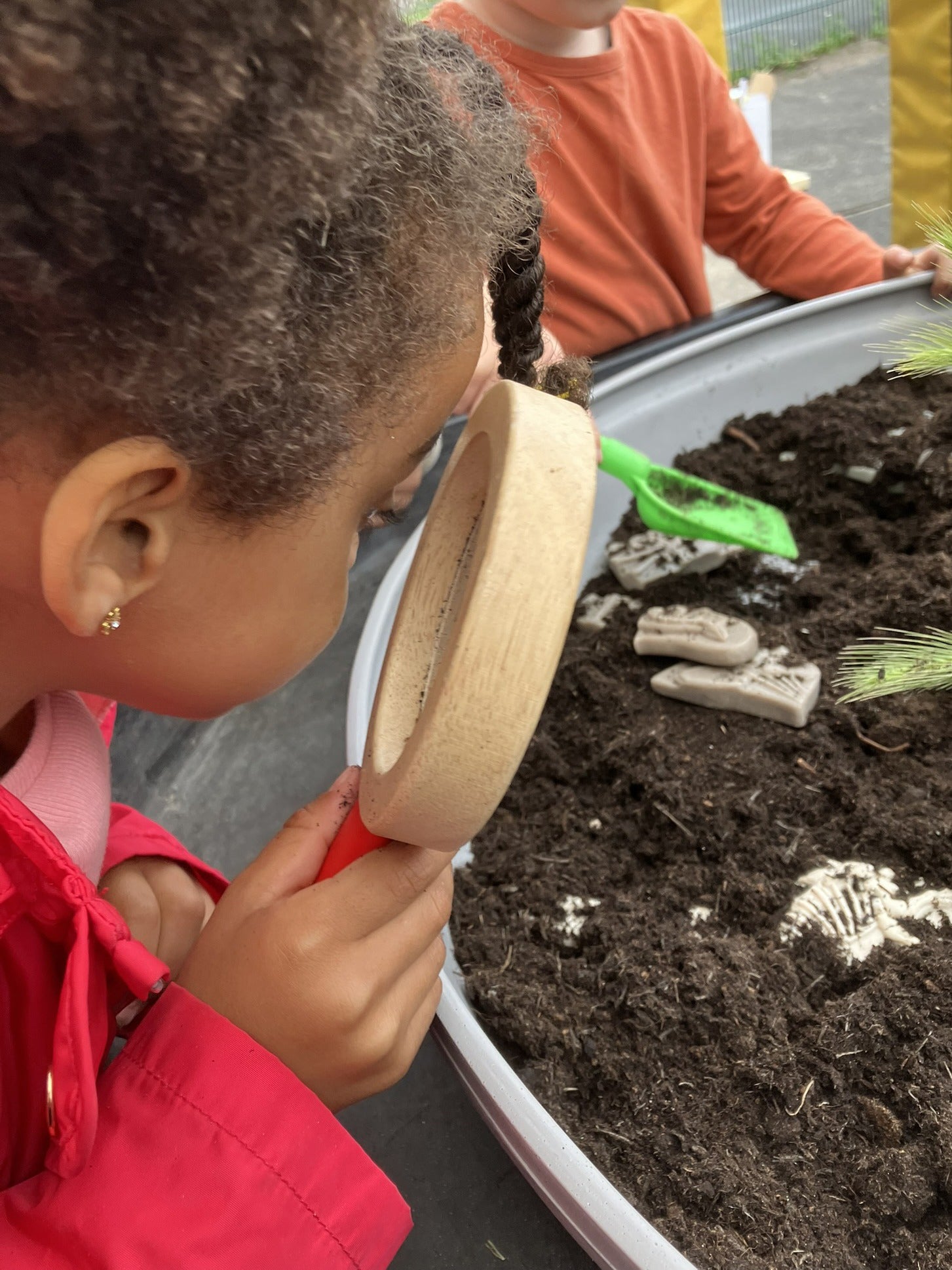 Yellow Door - Dig & Discover – Triceratops & Spinosaurus