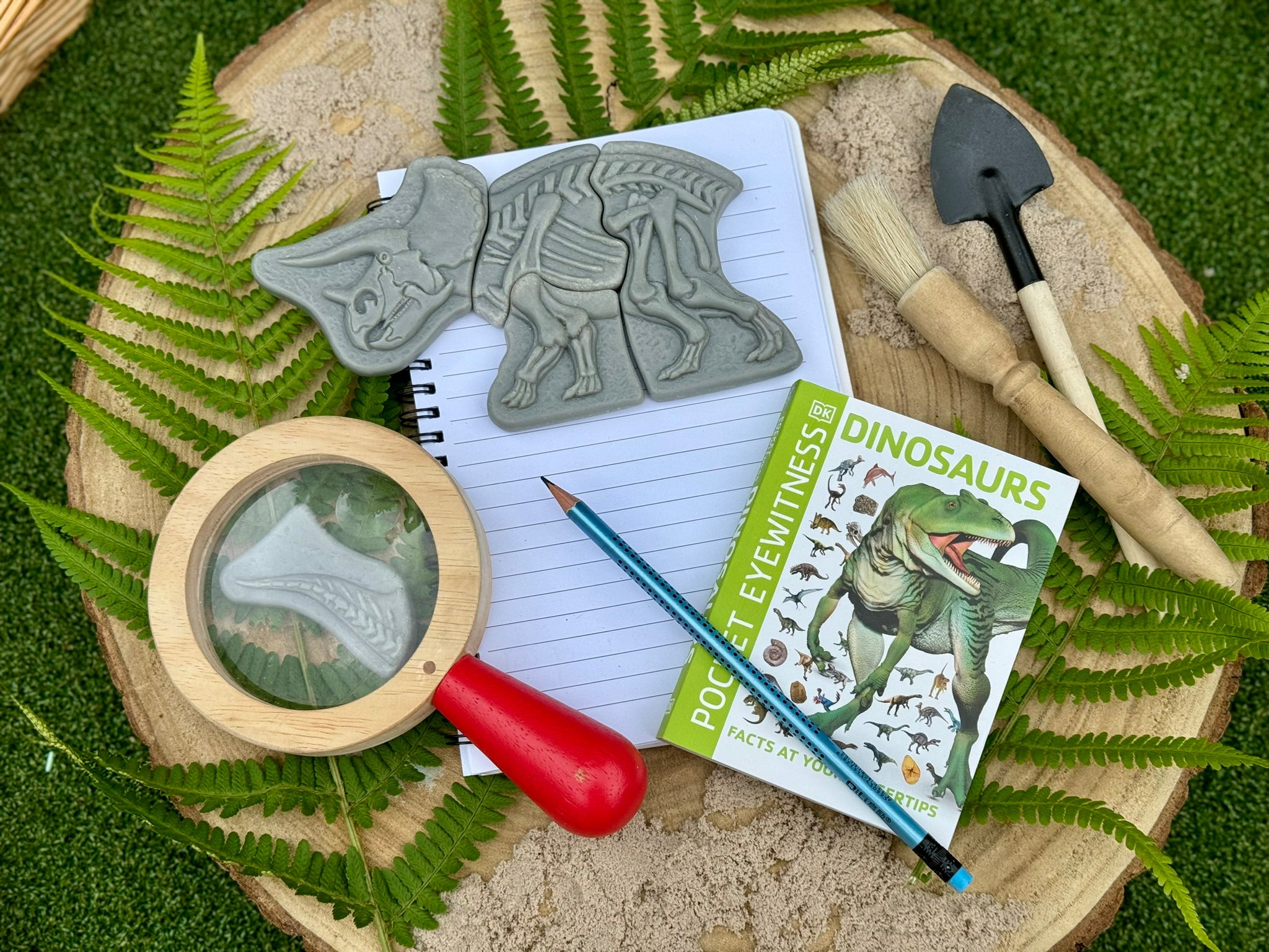 Yellow Door - Dig & Discover – Triceratops & Spinosaurus