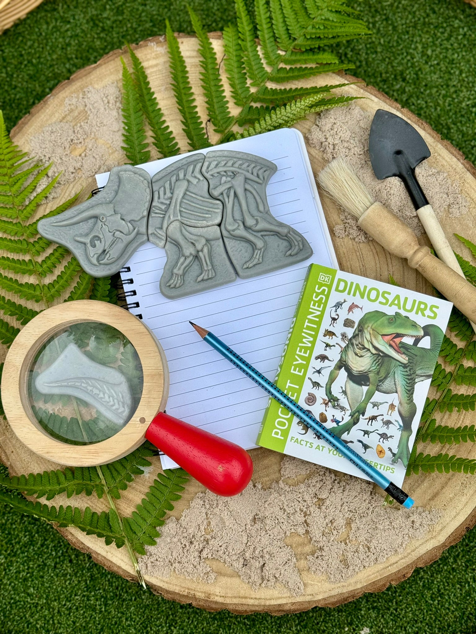 Yellow Door - Dig & Discover – Triceratops & Spinosaurus