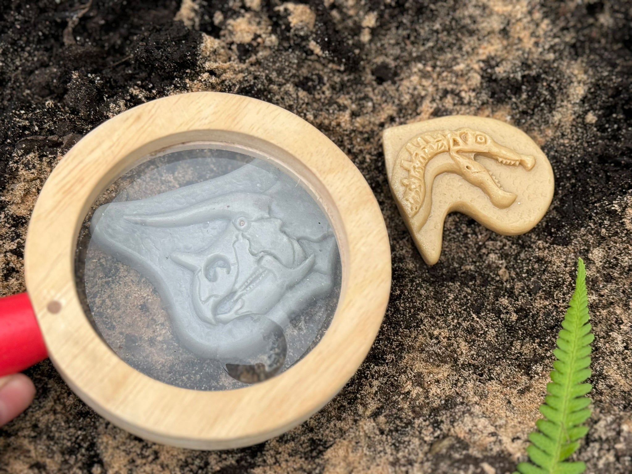 Yellow Door - Dig & Discover – Triceratops & Spinosaurus