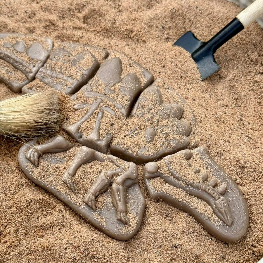 Yellow Door - Graaf en ontdek - Dinosauruspakket