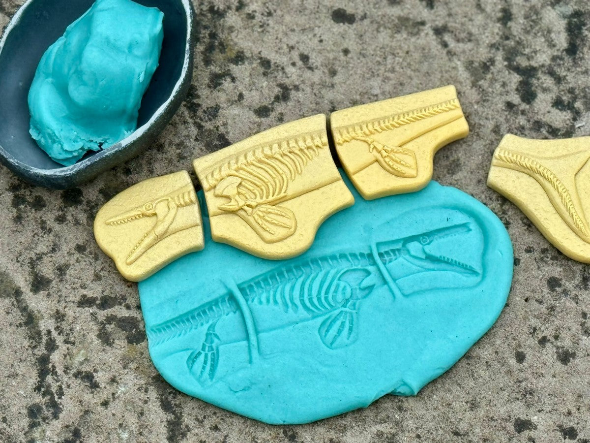 Yellow Door - Graaf en ontdek - Dinosauruspakket
