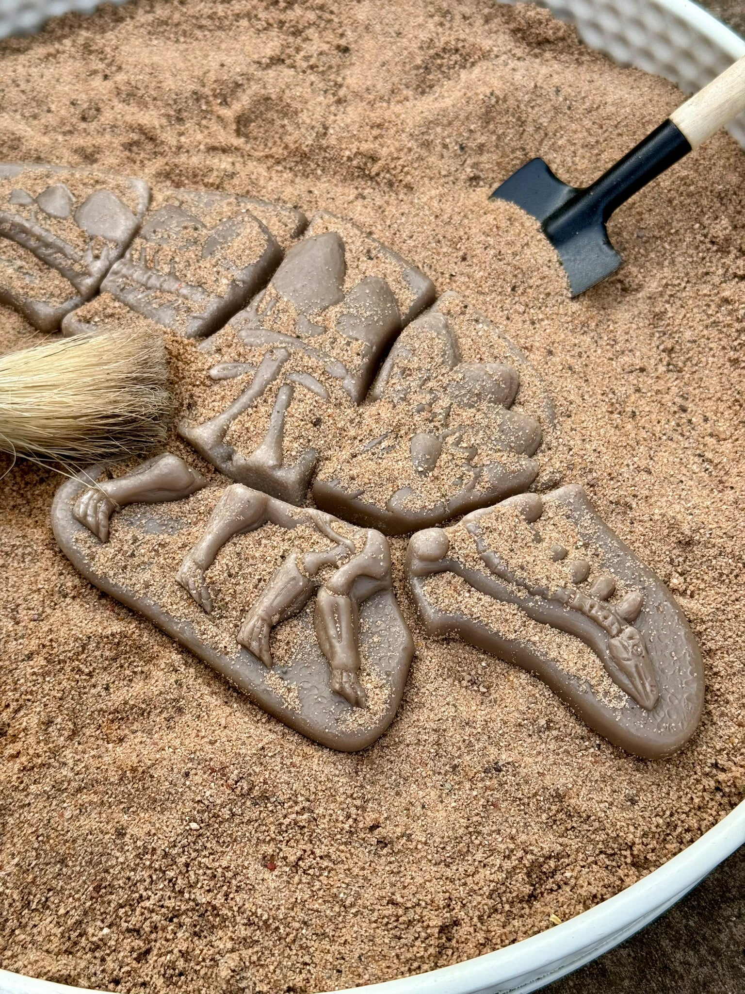 Yellow Door - Dig & Discover – Pliosaur & Stegosaurus