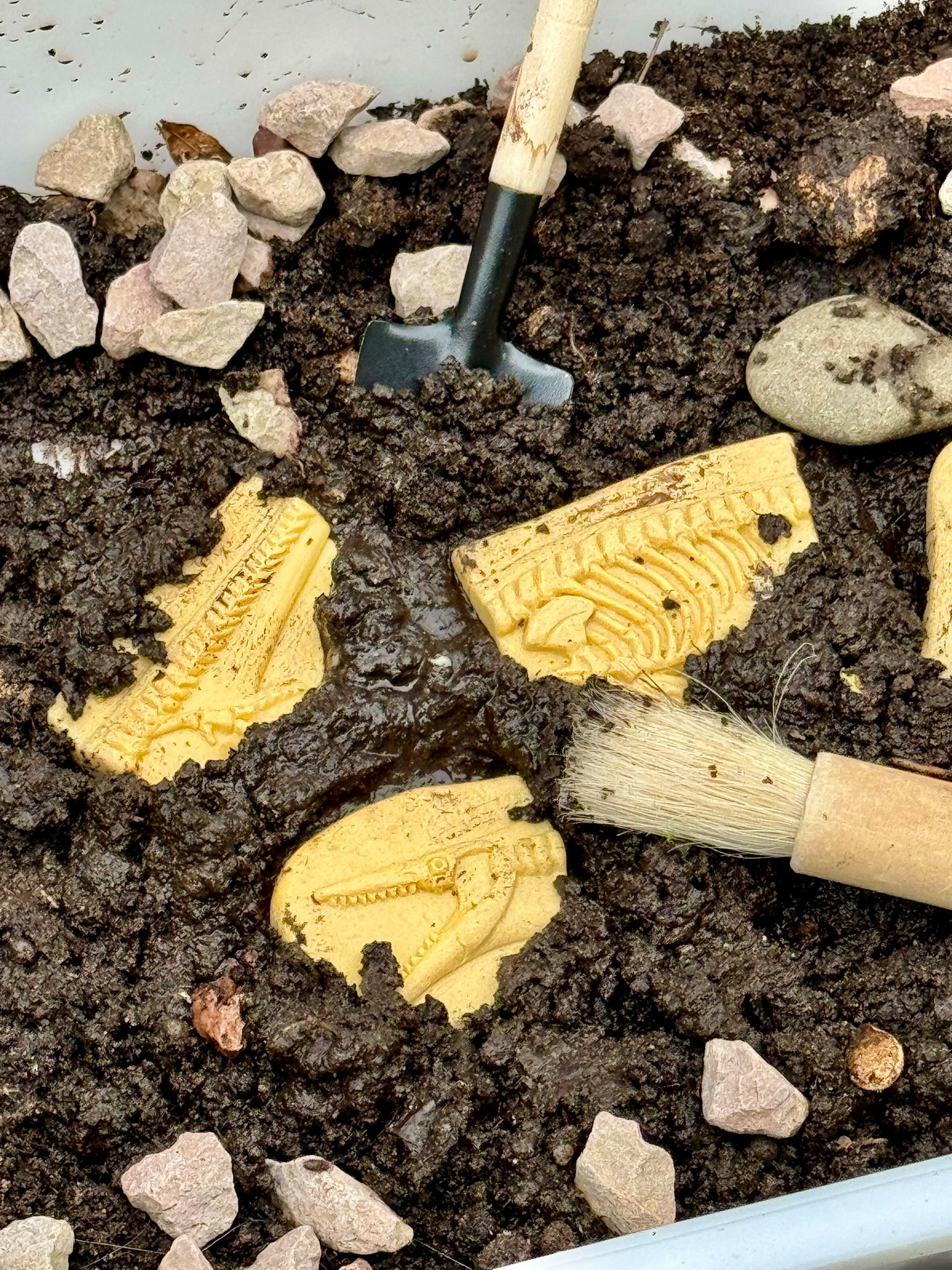 Yellow Door - Dig & Discover – Pliosaur & Stegosaurus