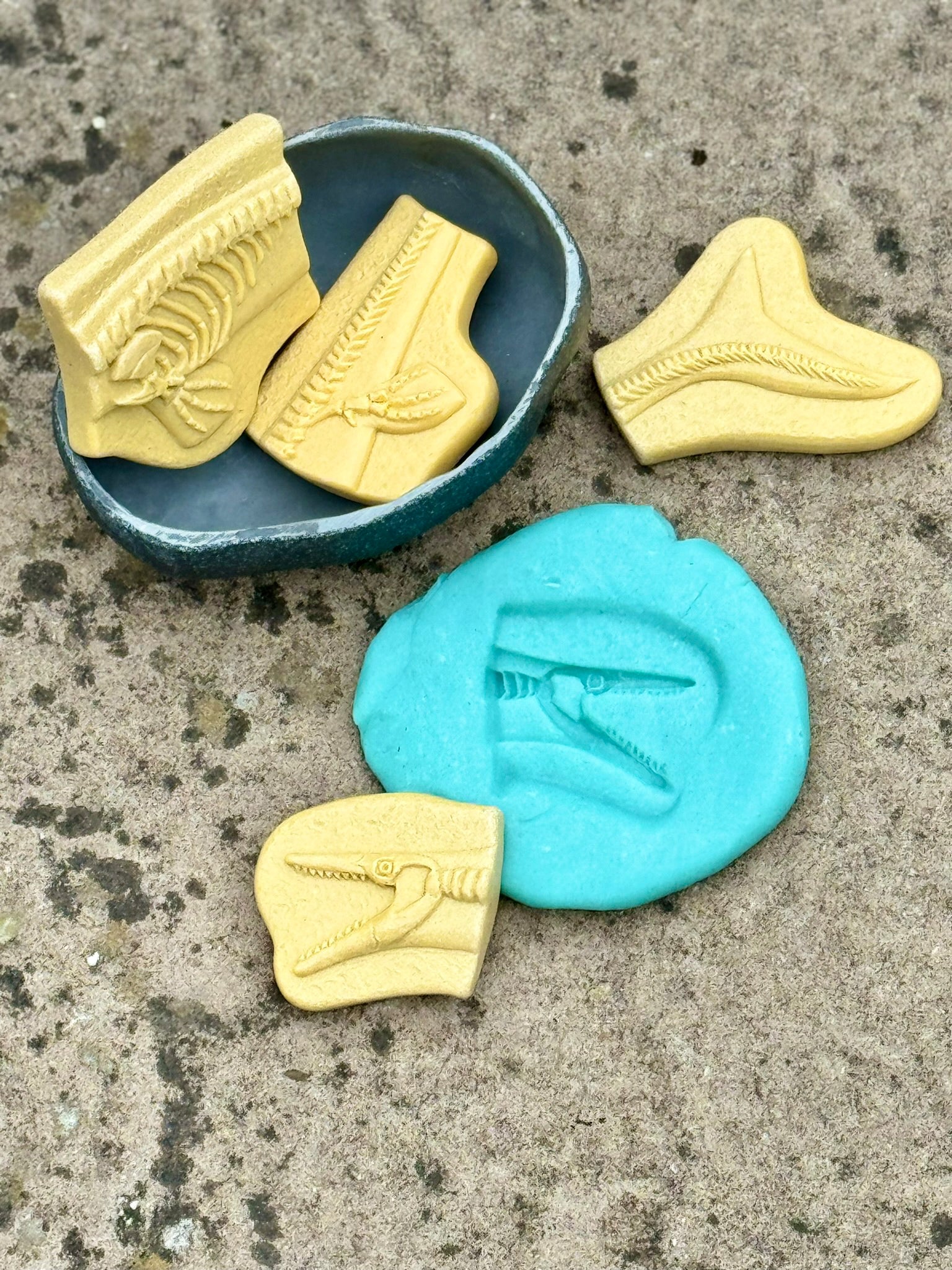 Yellow Door - Dig & Discover – Pliosaur & Stegosaurus