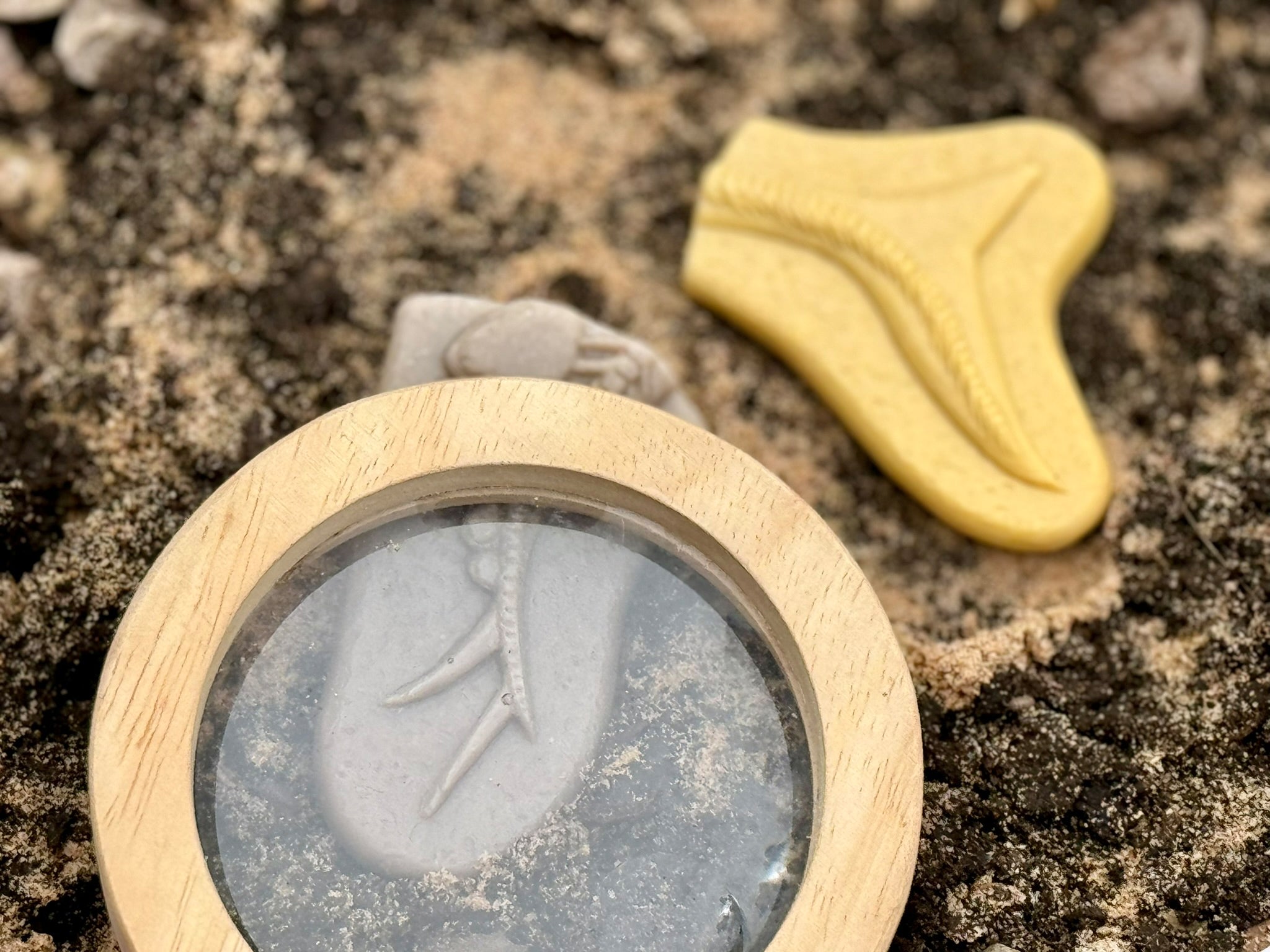 Yellow Door - Dig & Discover – Pliosaur & Stegosaurus