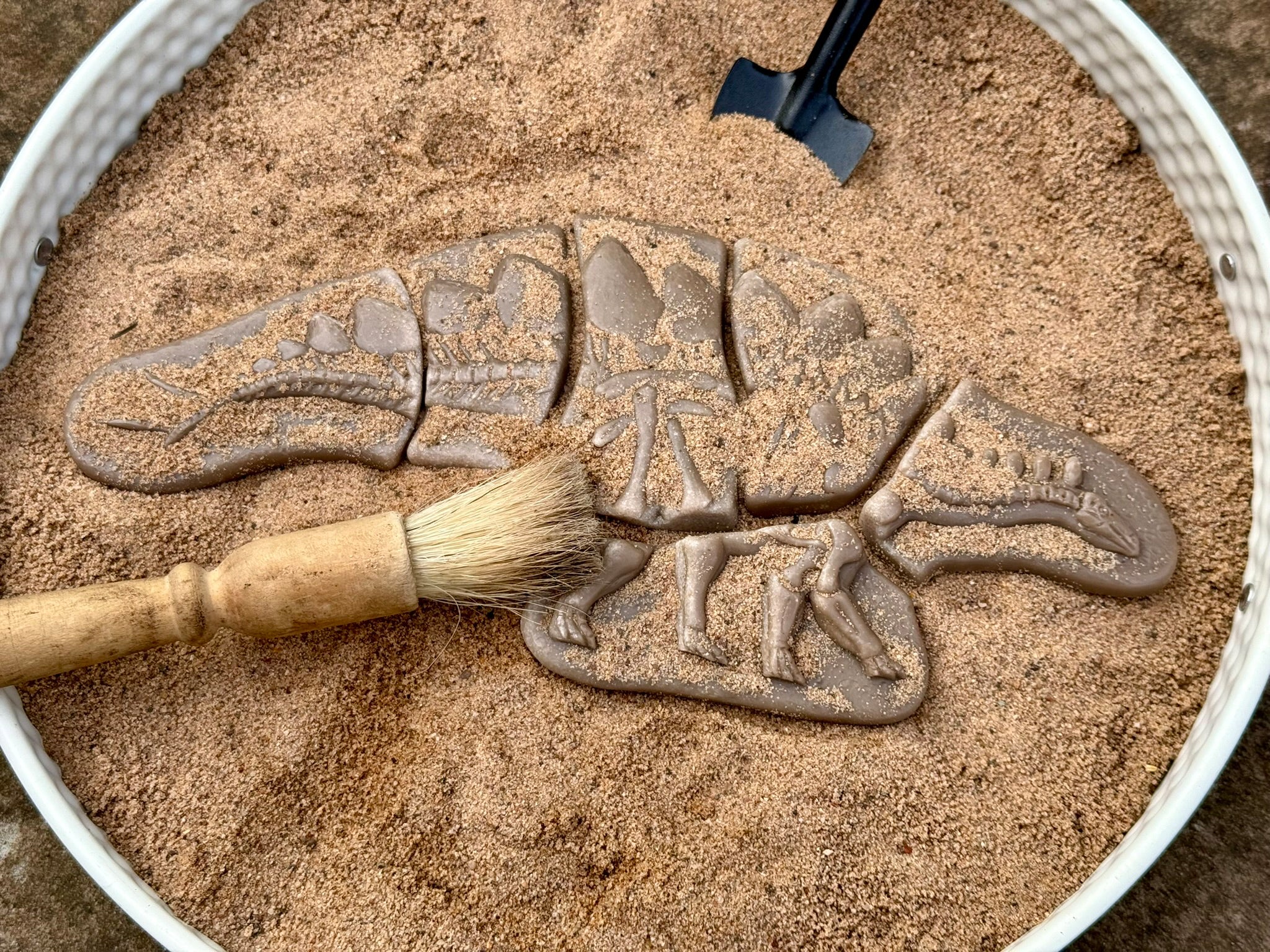 Yellow Door - Dig & Discover – Pliosaur & Stegosaurus