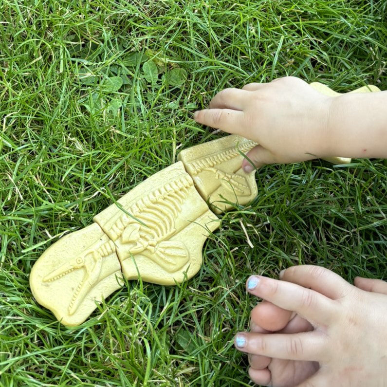 Yellow Door - Dig & Discover – Pliosaur & Stegosaurus