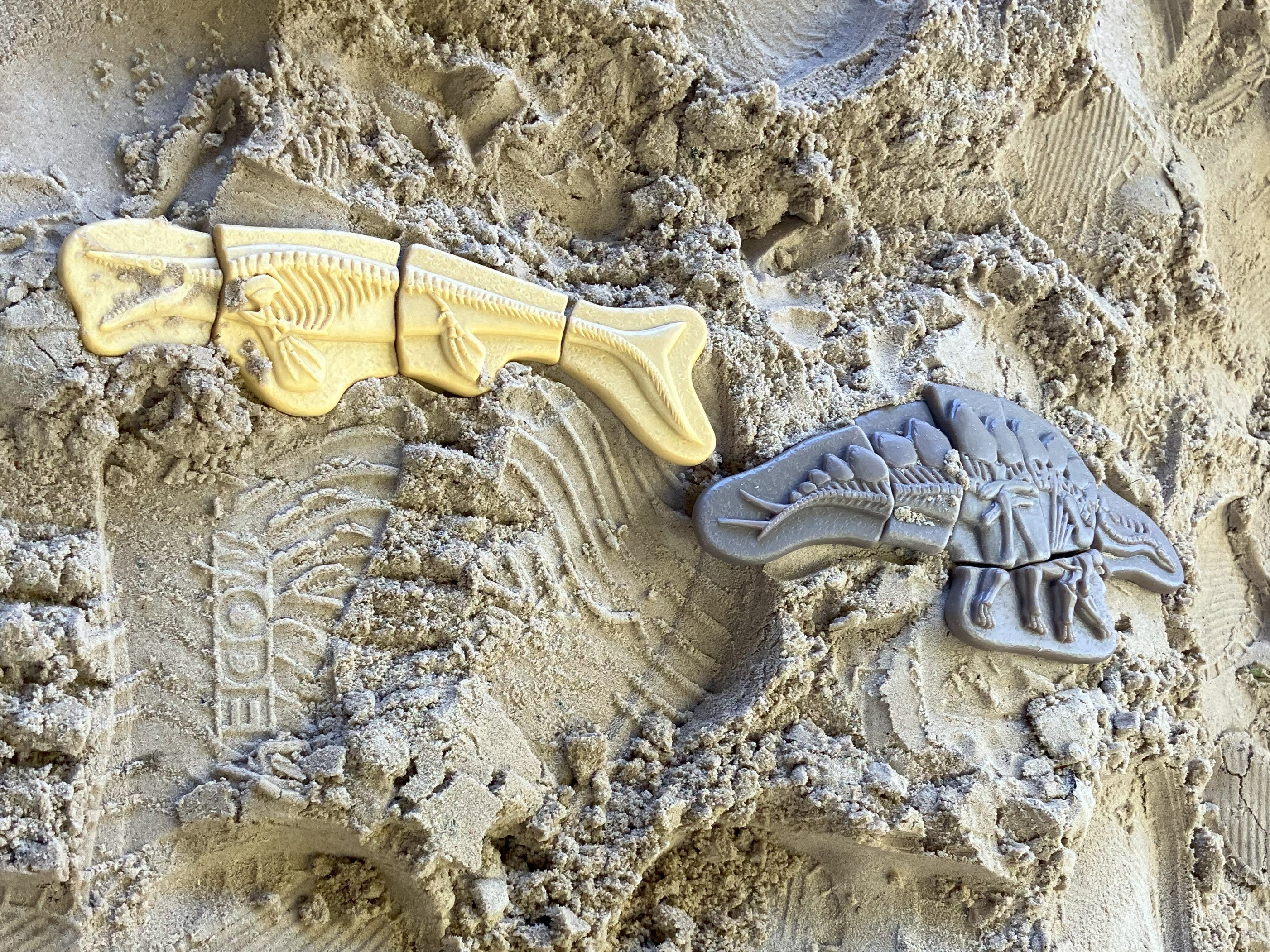 Yellow Door - Dig & Discover – Pliosaur & Stegosaurus