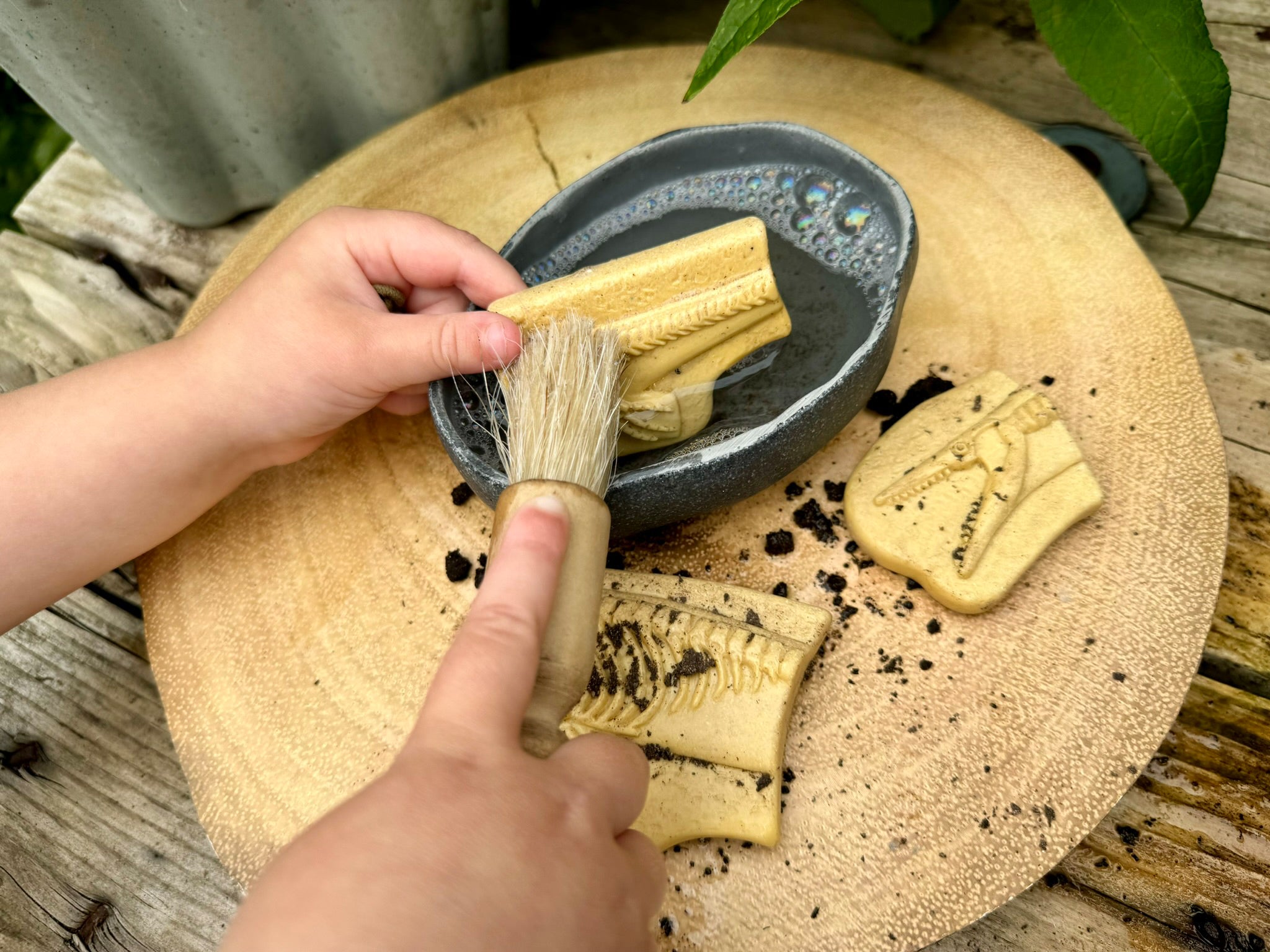 Yellow Door - Dig & Discover – Pliosaur & Stegosaurus