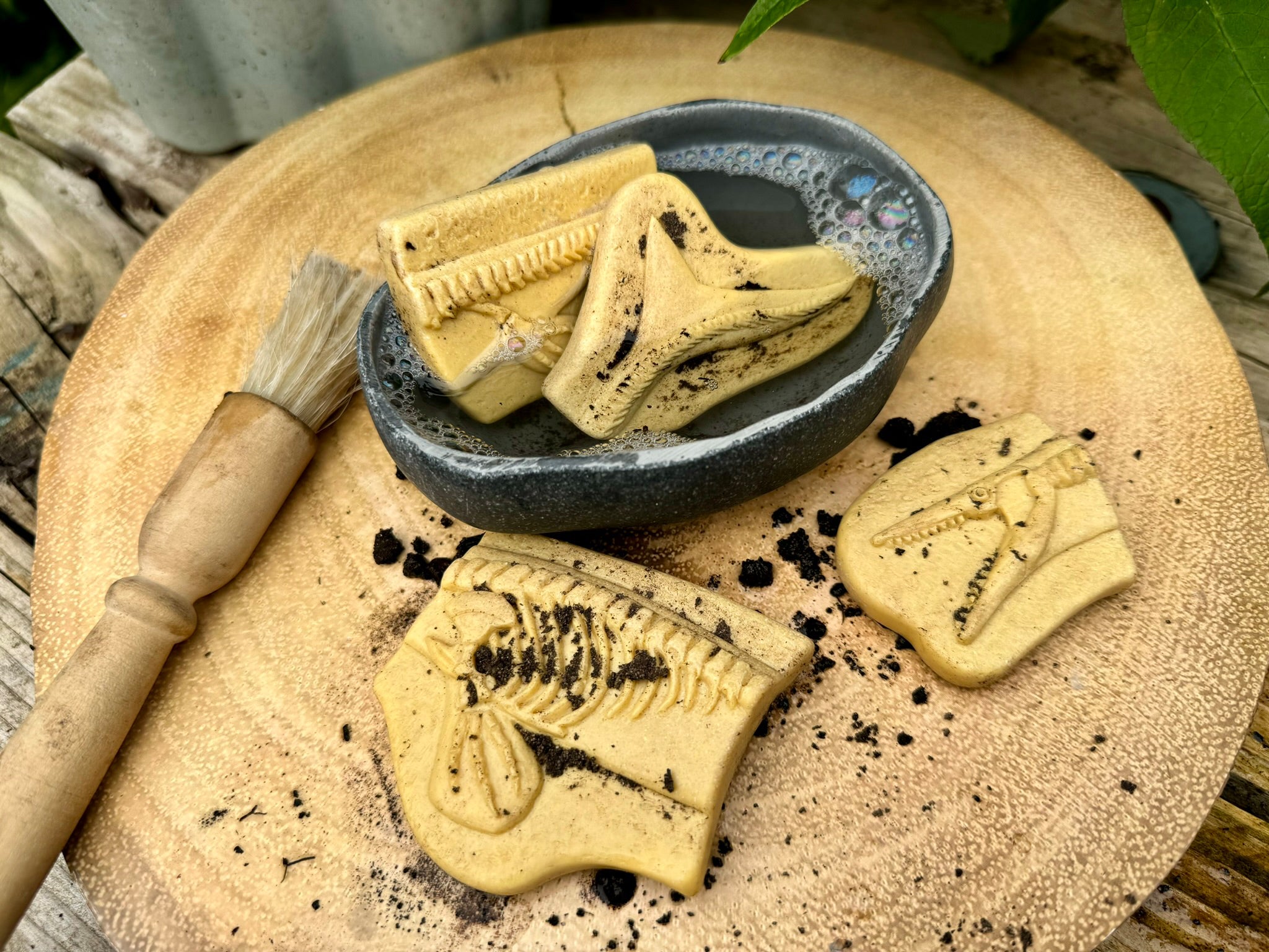 Yellow Door - Dig & Discover – Pliosaur & Stegosaurus