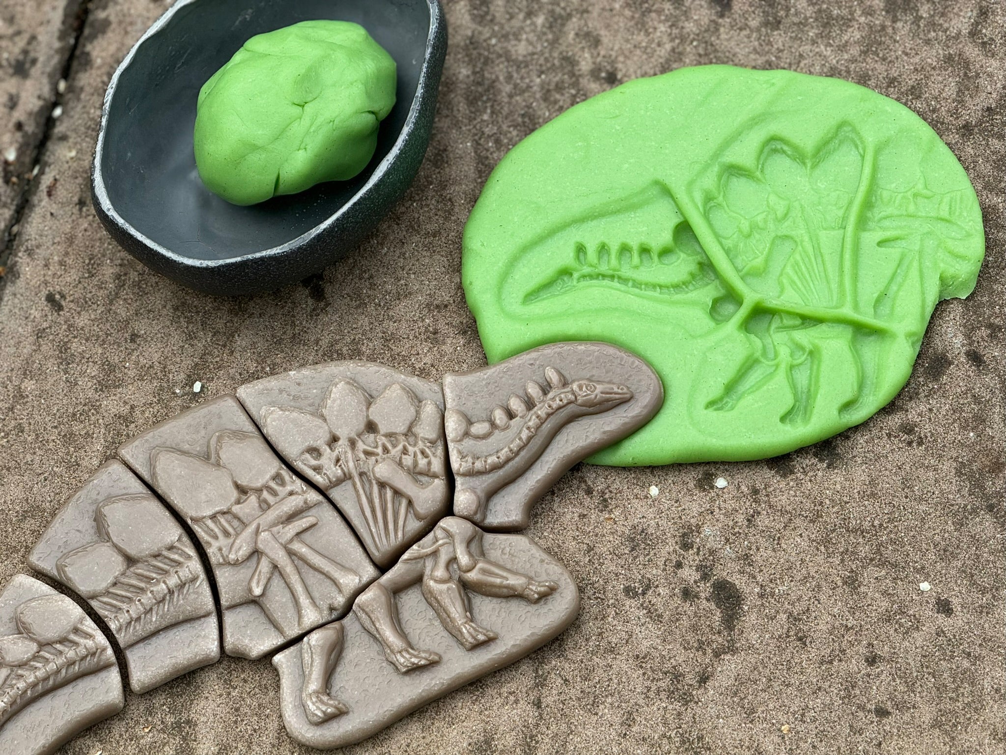 Yellow Door - Dig & Discover – Pliosaur & Stegosaurus