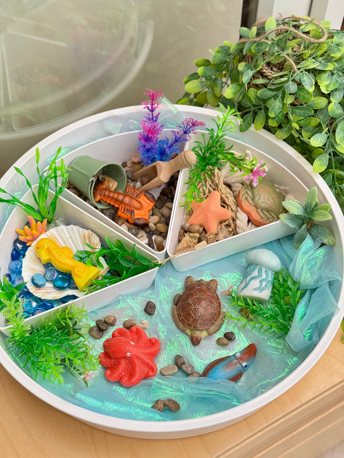 Zeedieren van steen in een speelbak met water