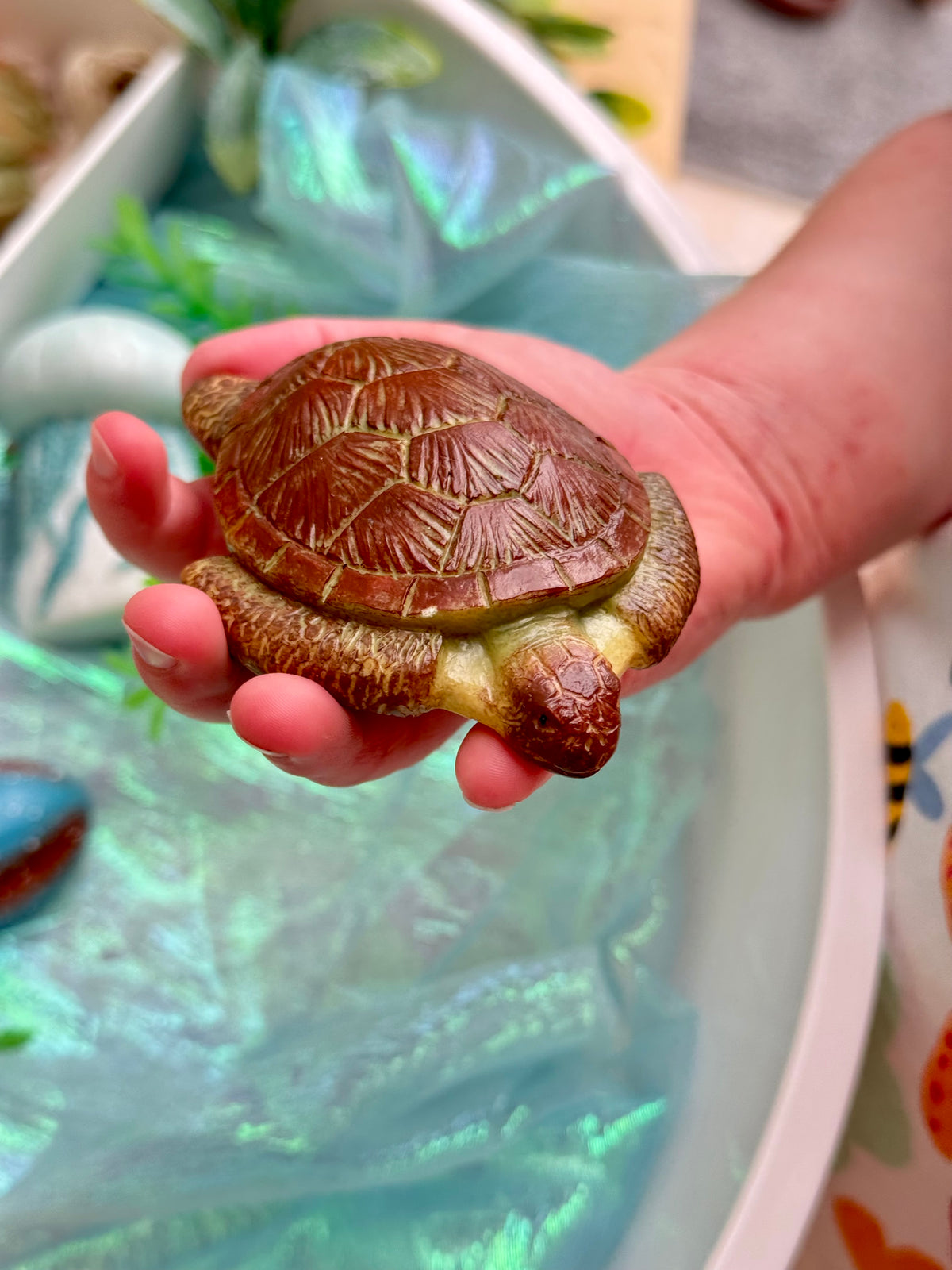 Kinderhand met de stenen zeeschildpad