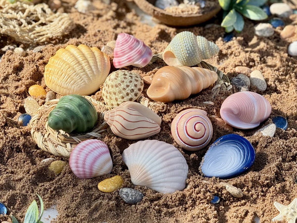 Schelpen van steen in het zand