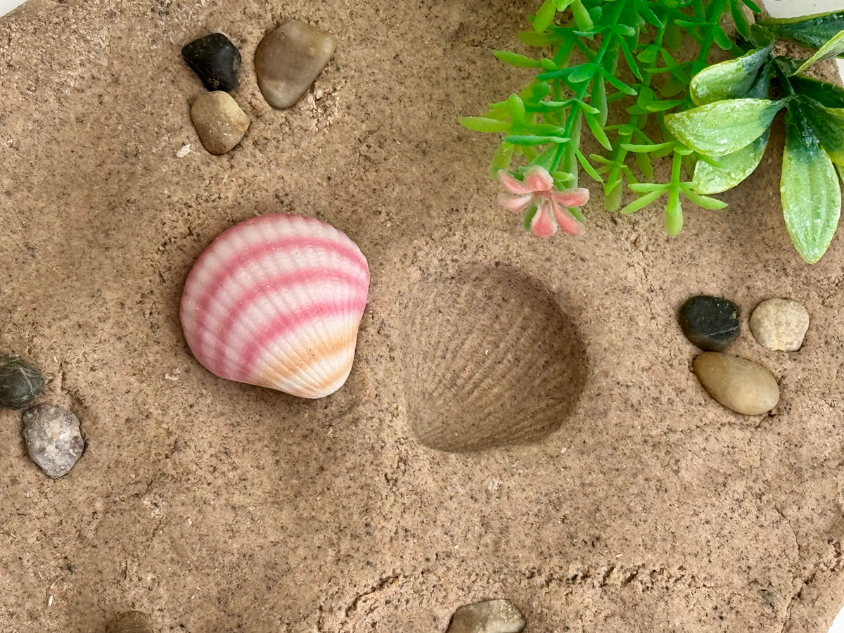 Afdruk van een schelp in het zand