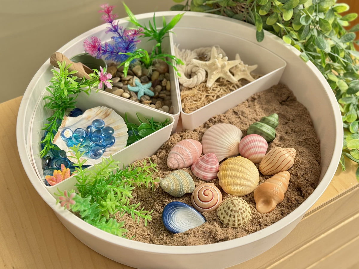 Schelpen van steen in een speelbak met zand