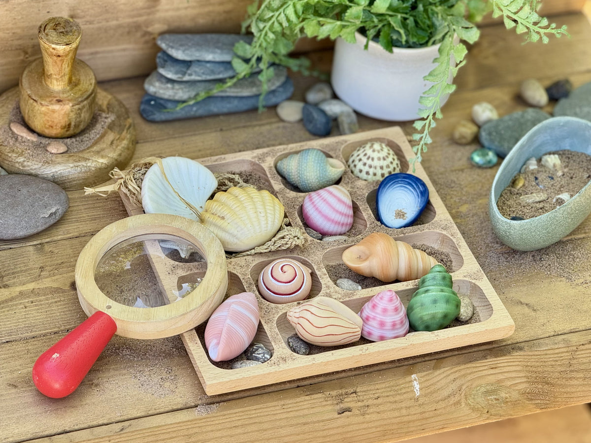Schelpen van steen op een houten tray met vergrootglas