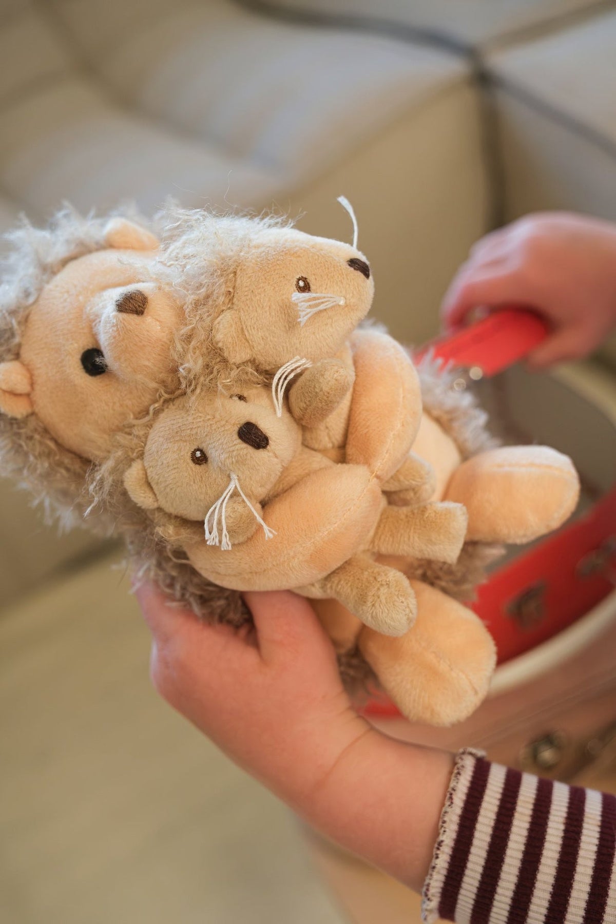 Egmont Toys - Egel met tweeling