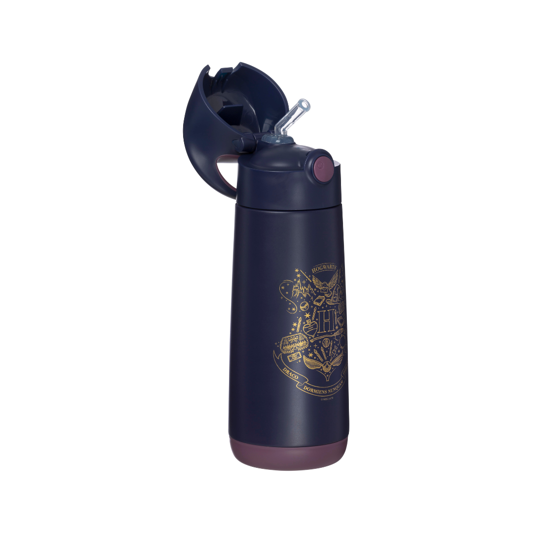 b.box - Harry Potter 500 ml geïsoleerde drinkfles