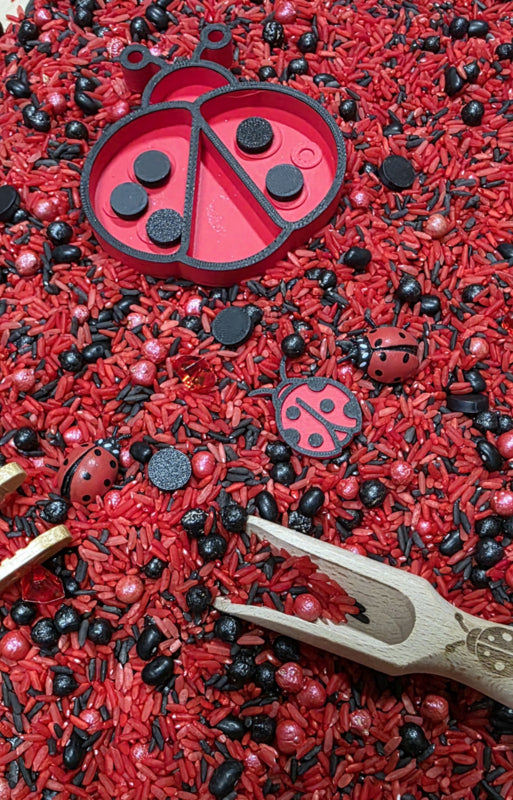 SensoryFun PourAndPlay Speelset — LadyBugs