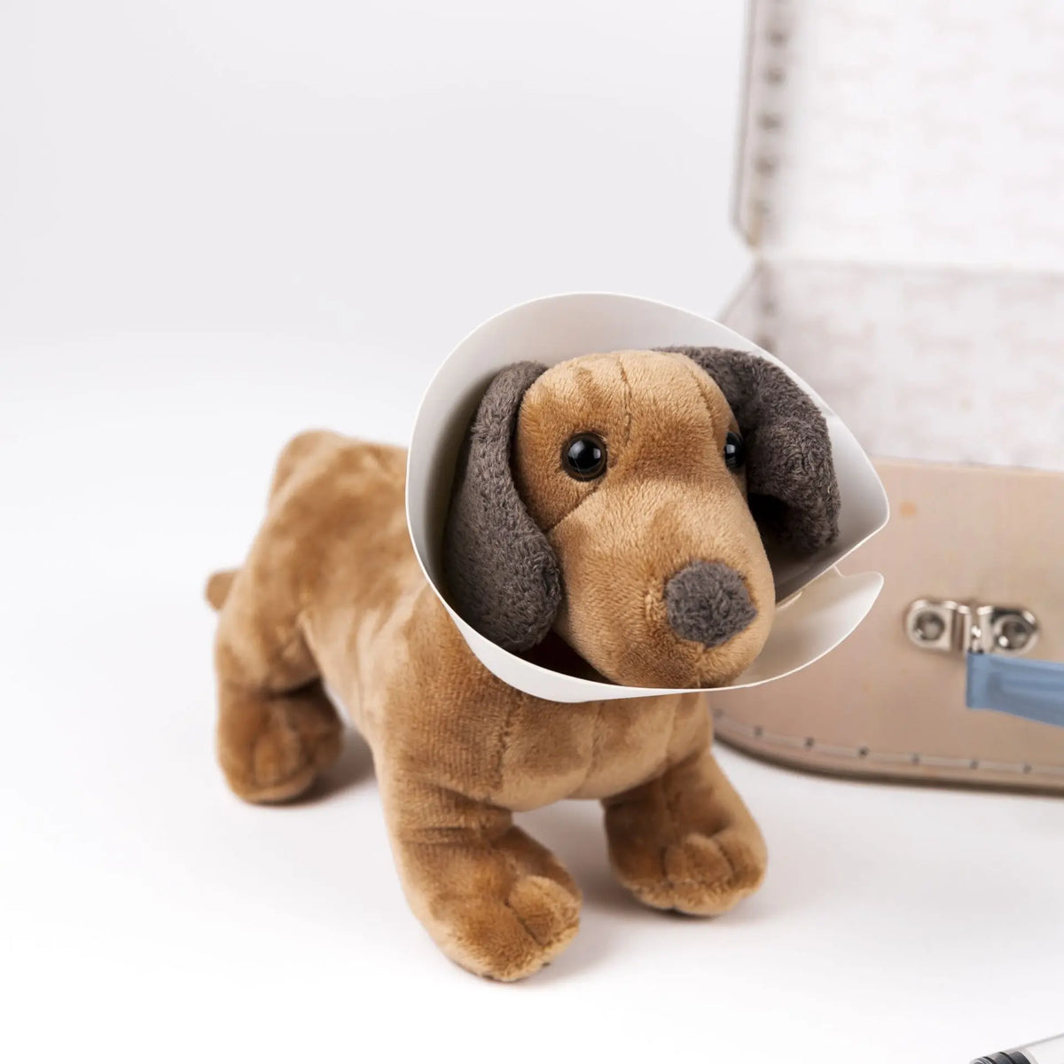 Egmont Toys - Dierenartskoffer Edward de hond