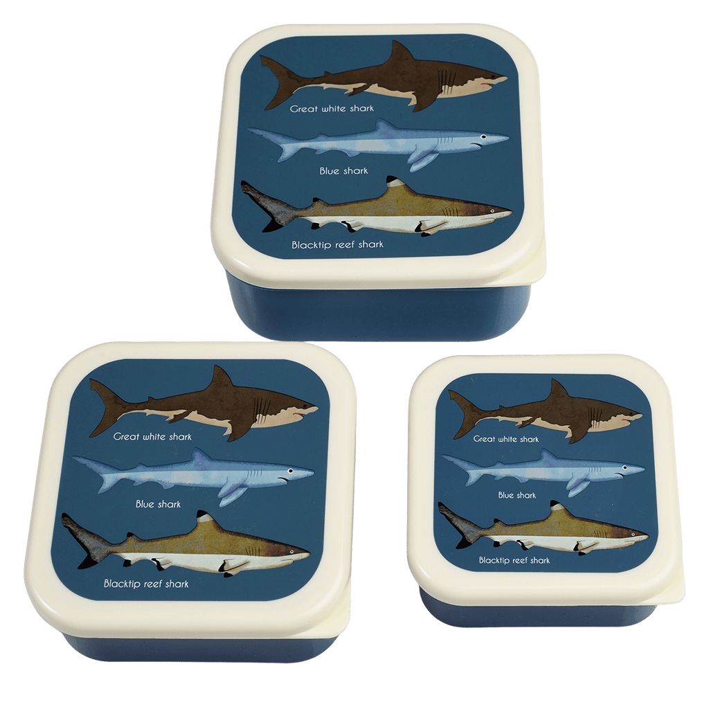 Rex London - Snackdoosjes Haaien (set van 3)