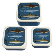 Rex London - Snackdoosjes Haaien (set van 3)